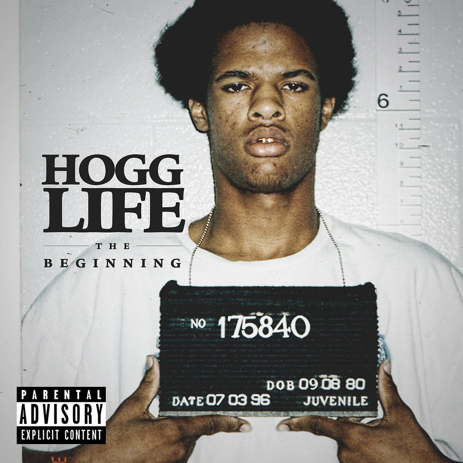 Постер альбома Hogg Life: The Beginning