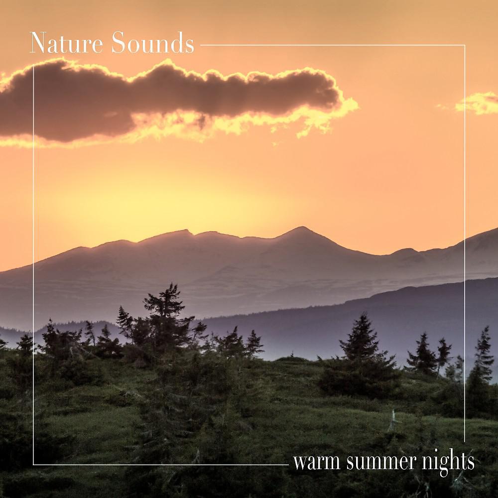 Постер альбома Warm Summer Nights