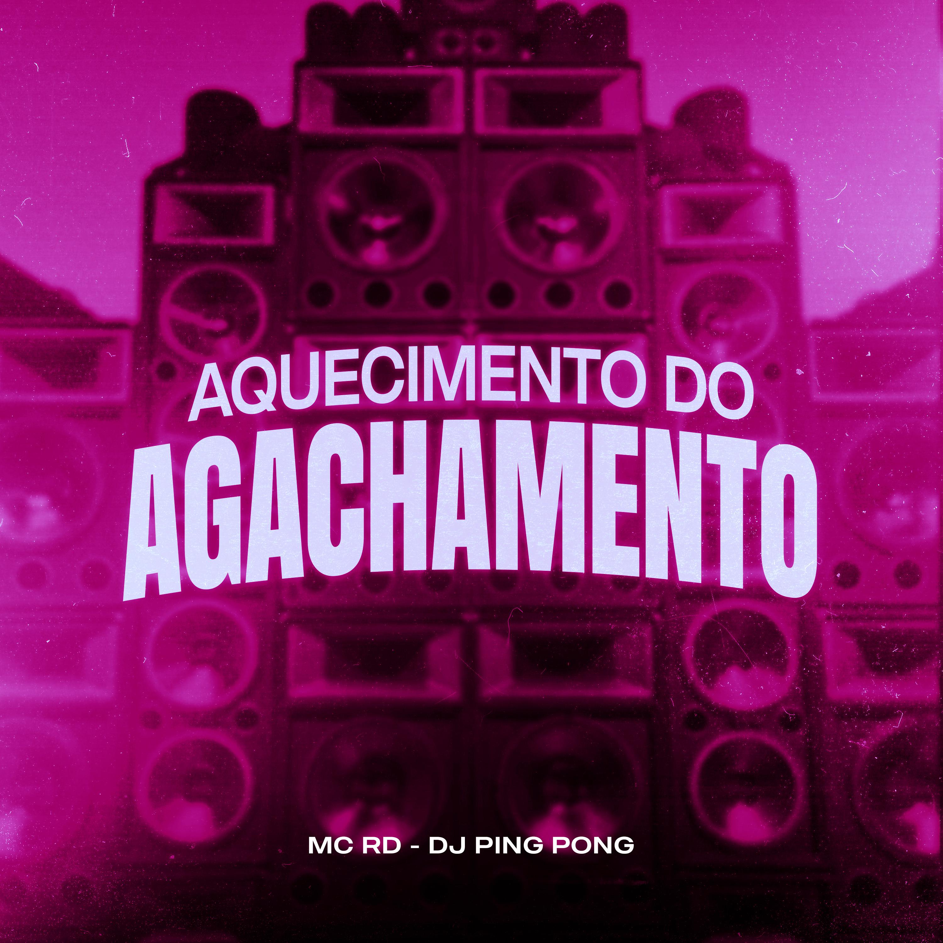 Постер альбома Aquecimento do Agachamento