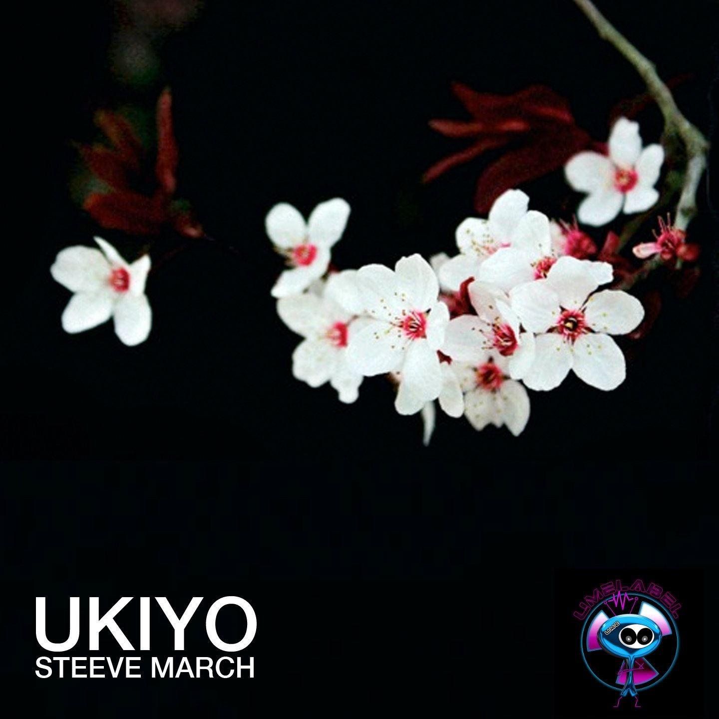 Постер альбома Ukiyo