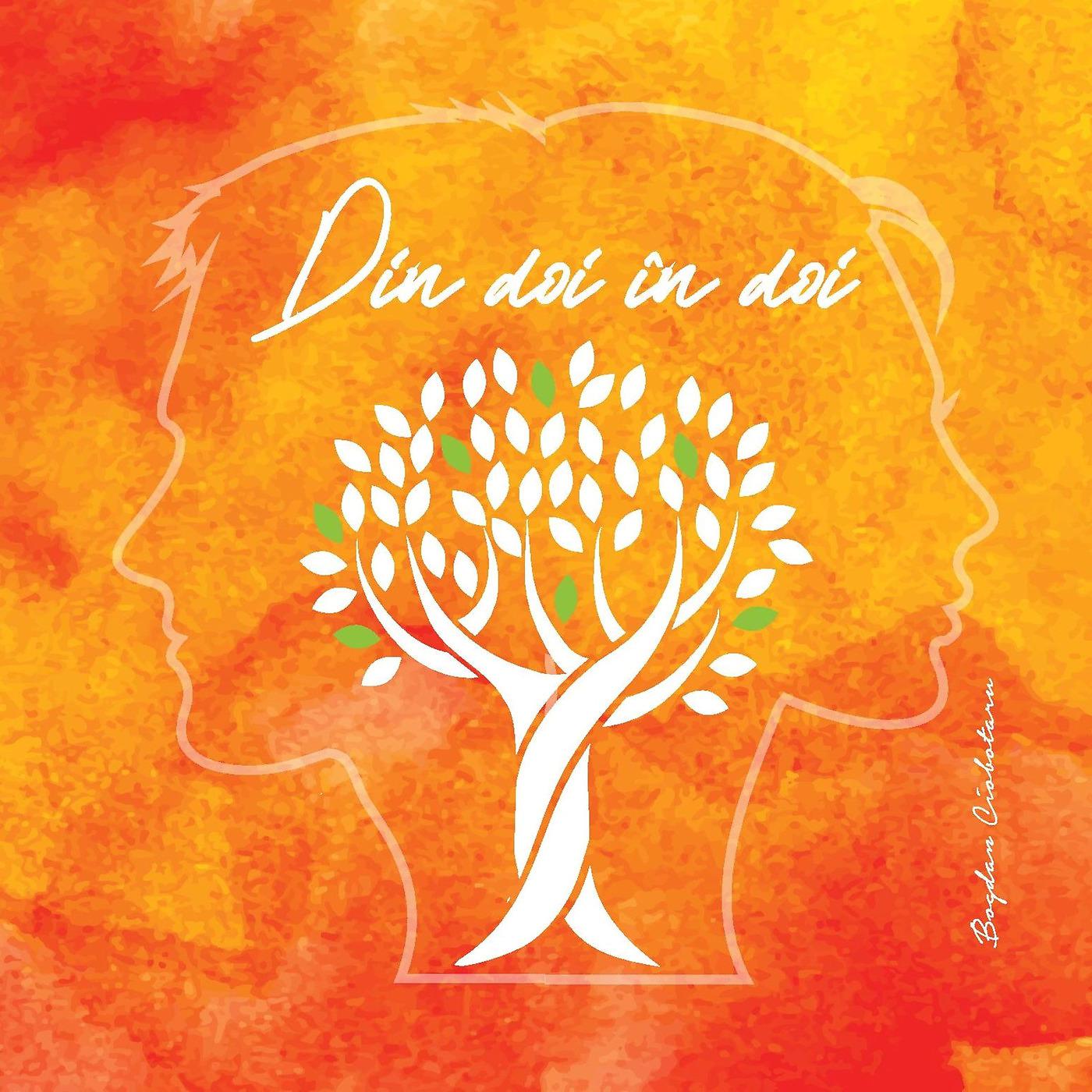Постер альбома Din Doi in Doi