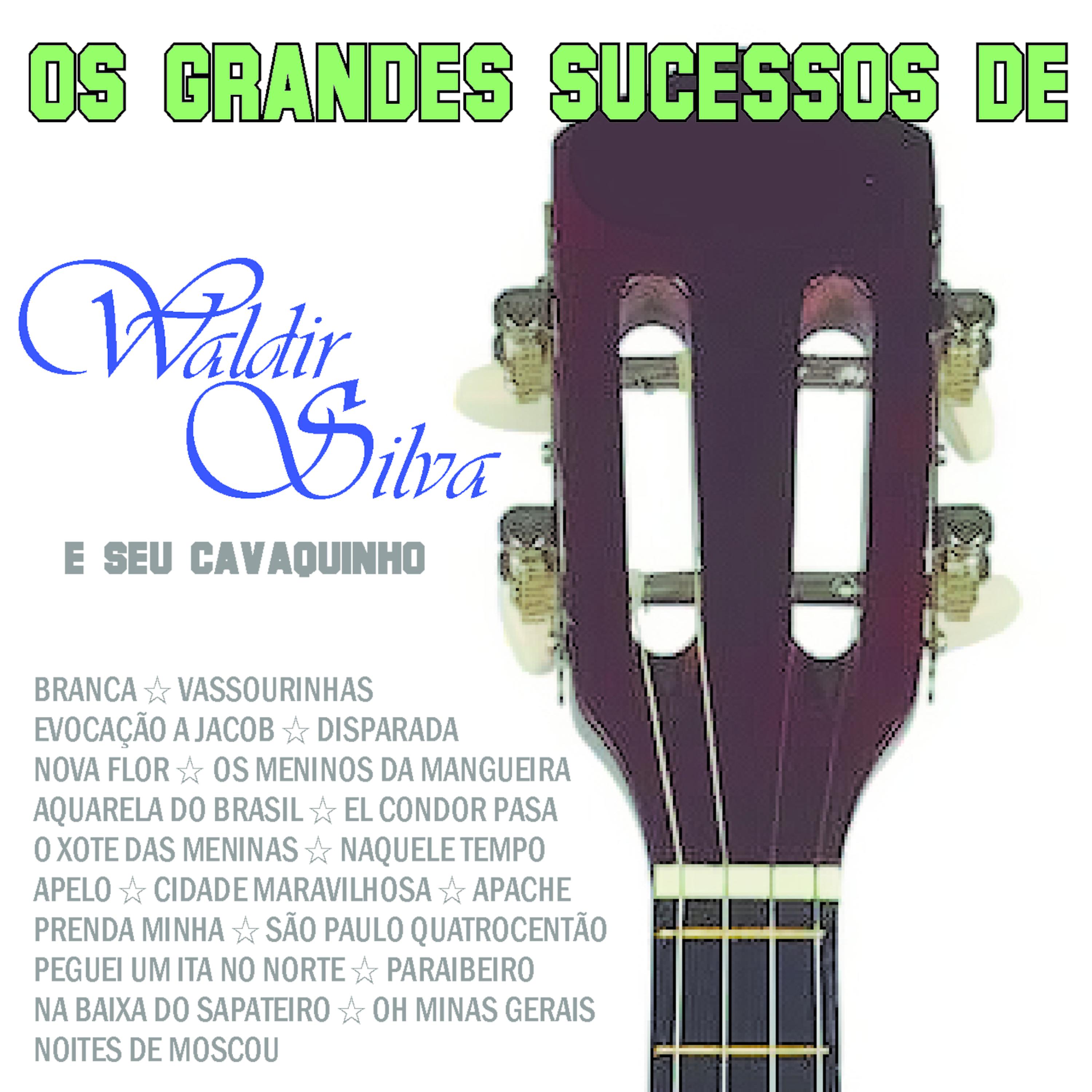 Постер альбома Os Grandes Sucessos de Waldir Silva