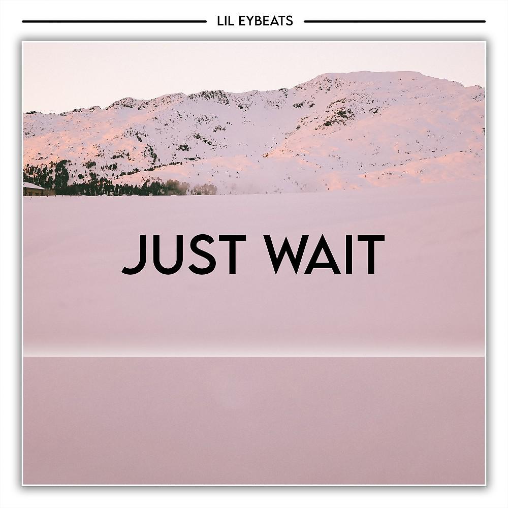 Постер альбома Just Wait