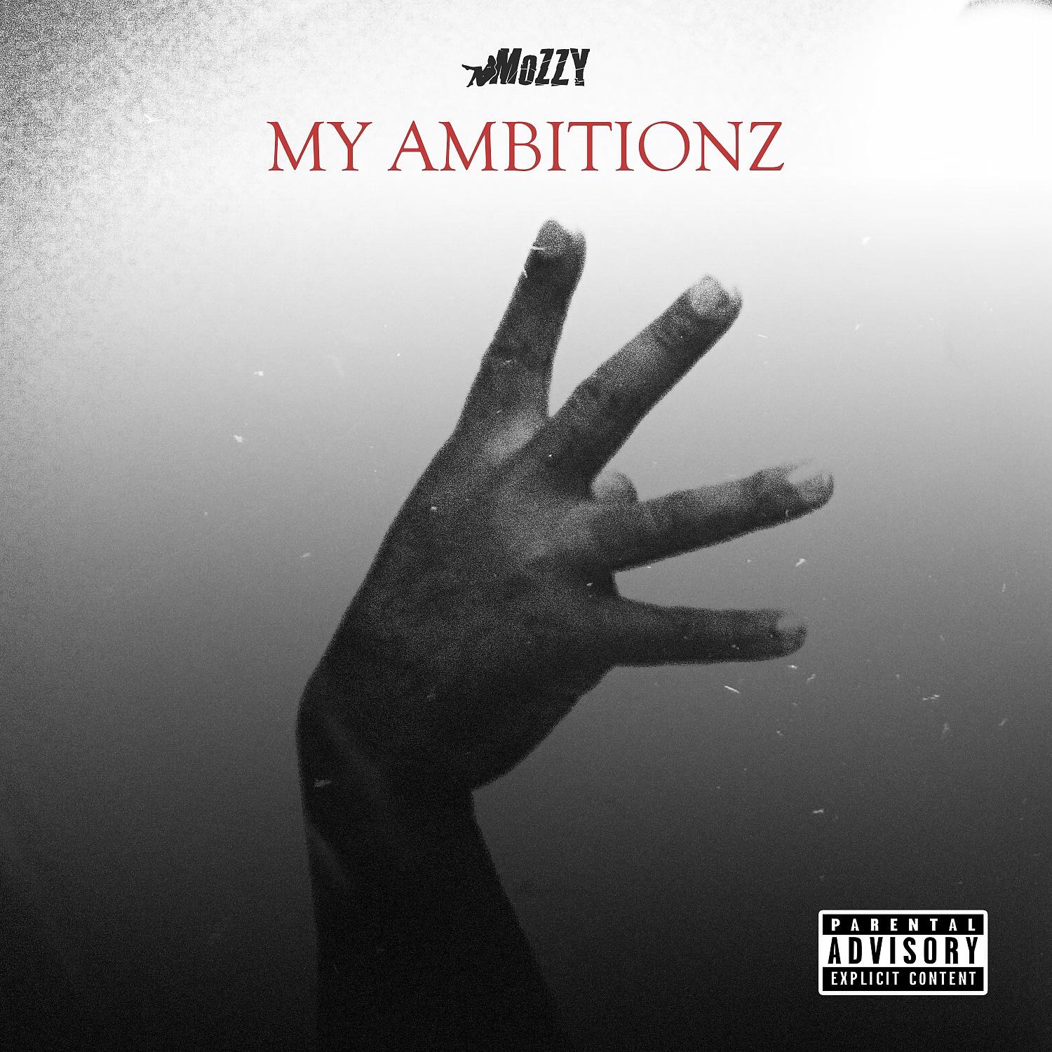 Постер альбома My Ambitionz