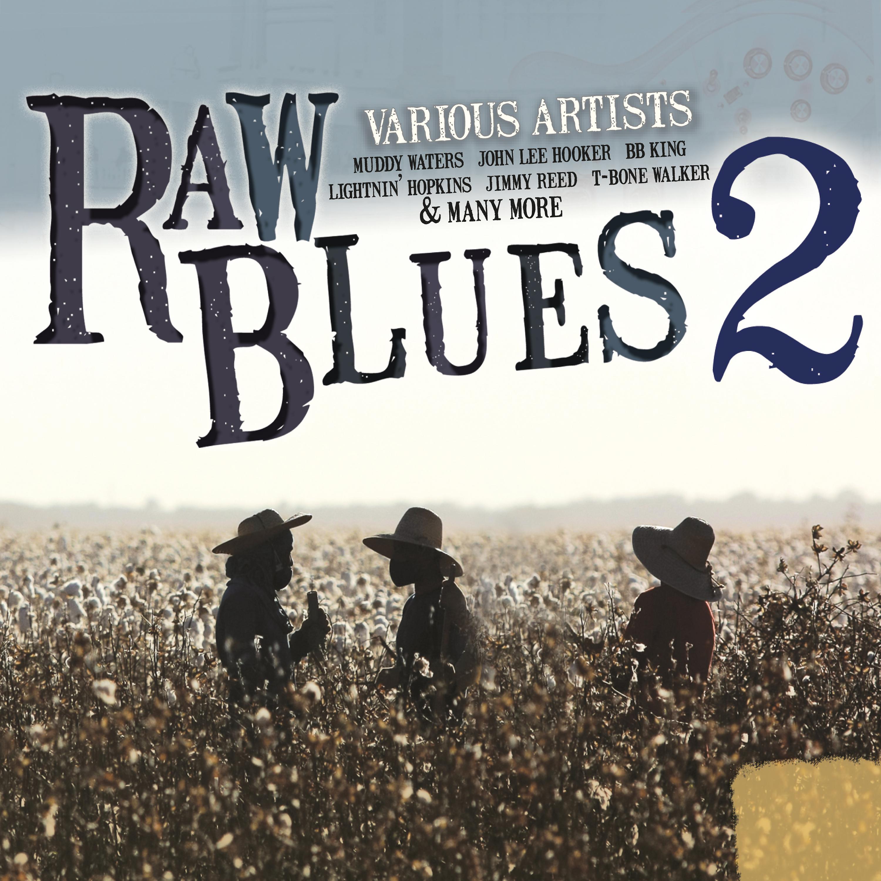 Постер альбома Raw Blues 2