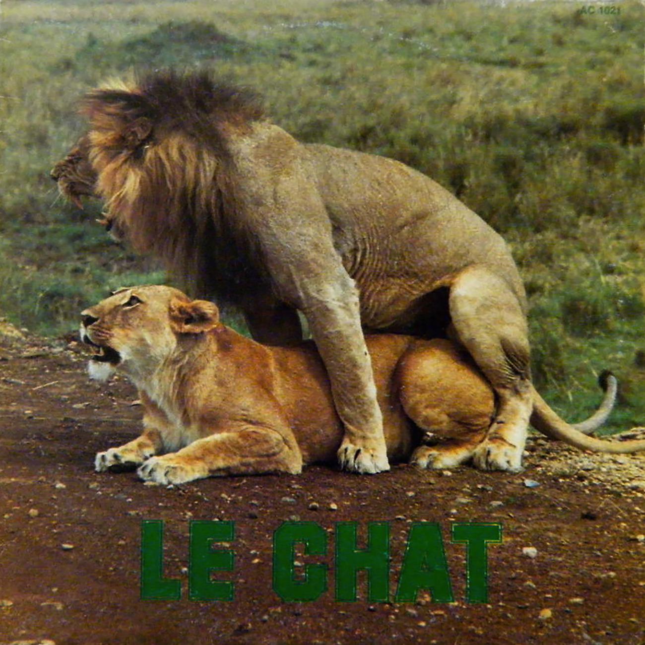 Постер альбома Le Chat
