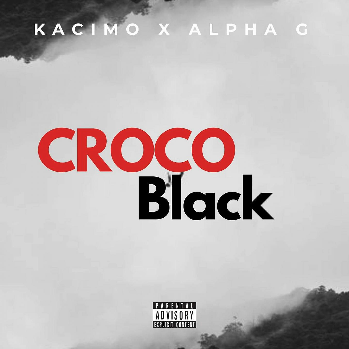 Постер альбома Croco black