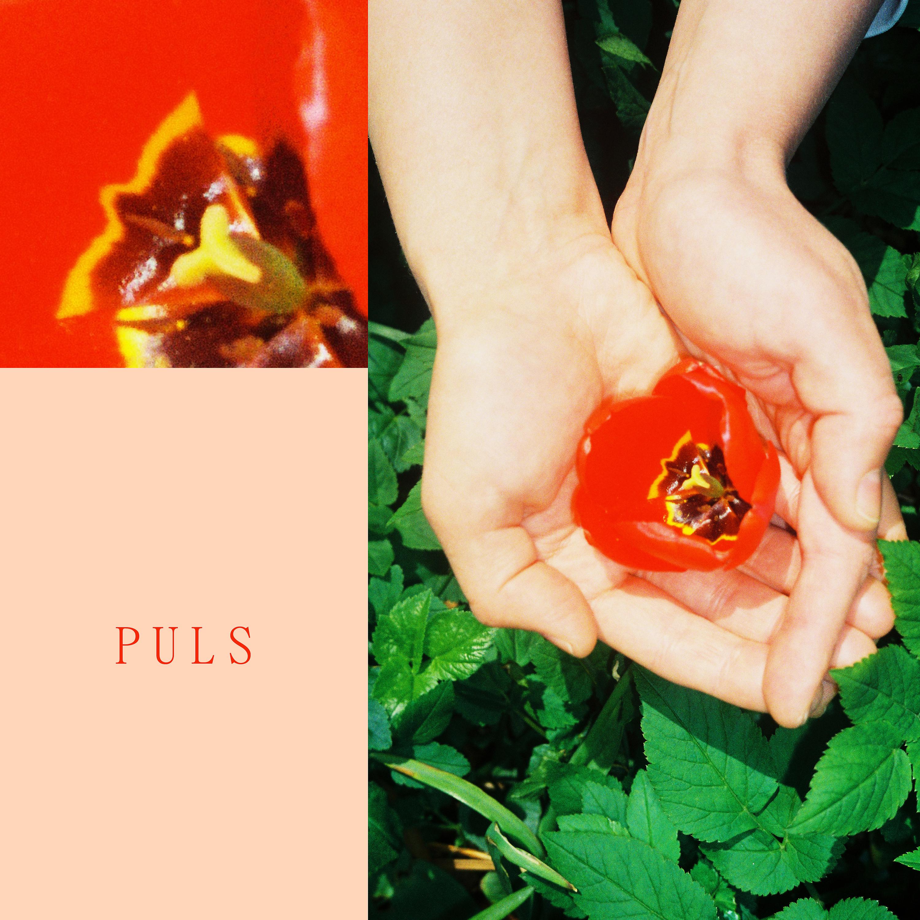 Постер альбома Puls