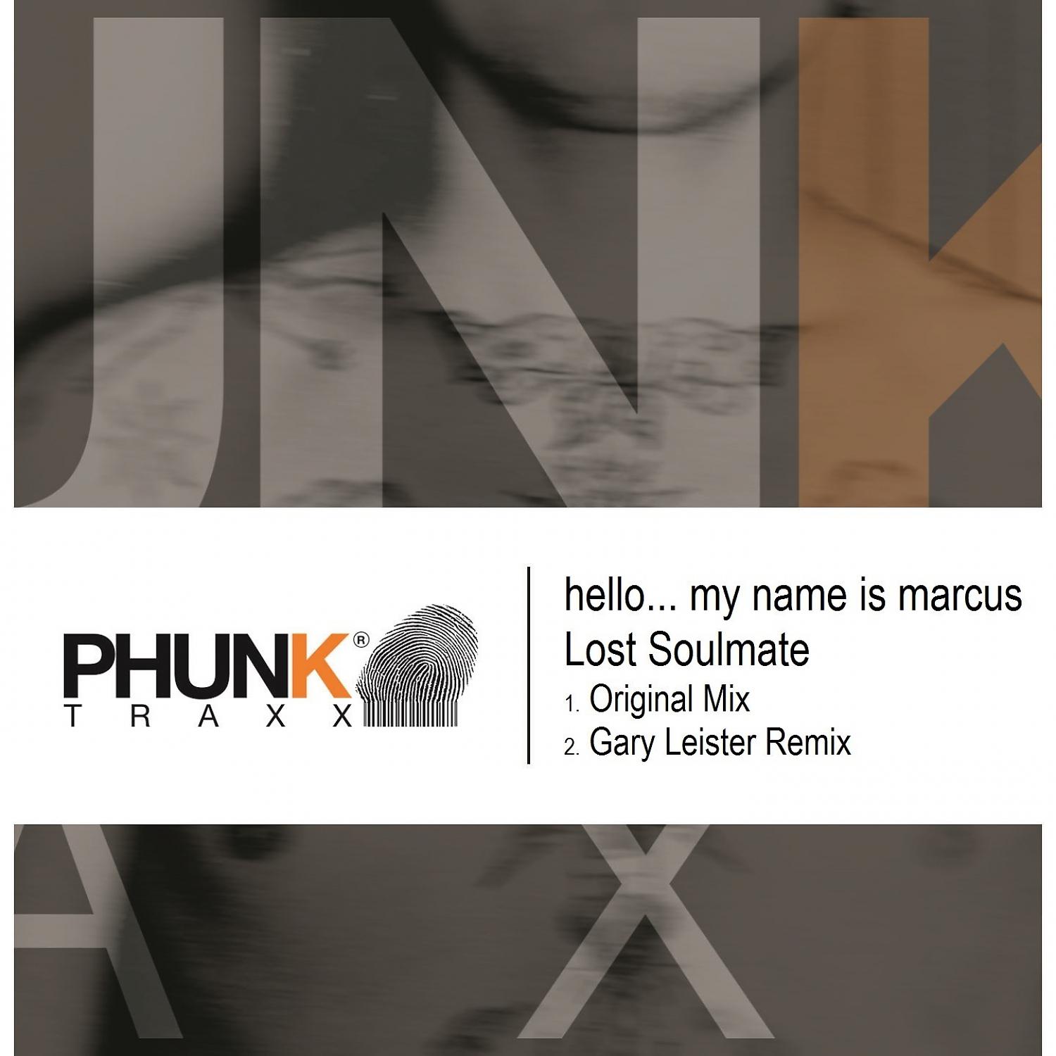 Постер альбома Lost Soulmate