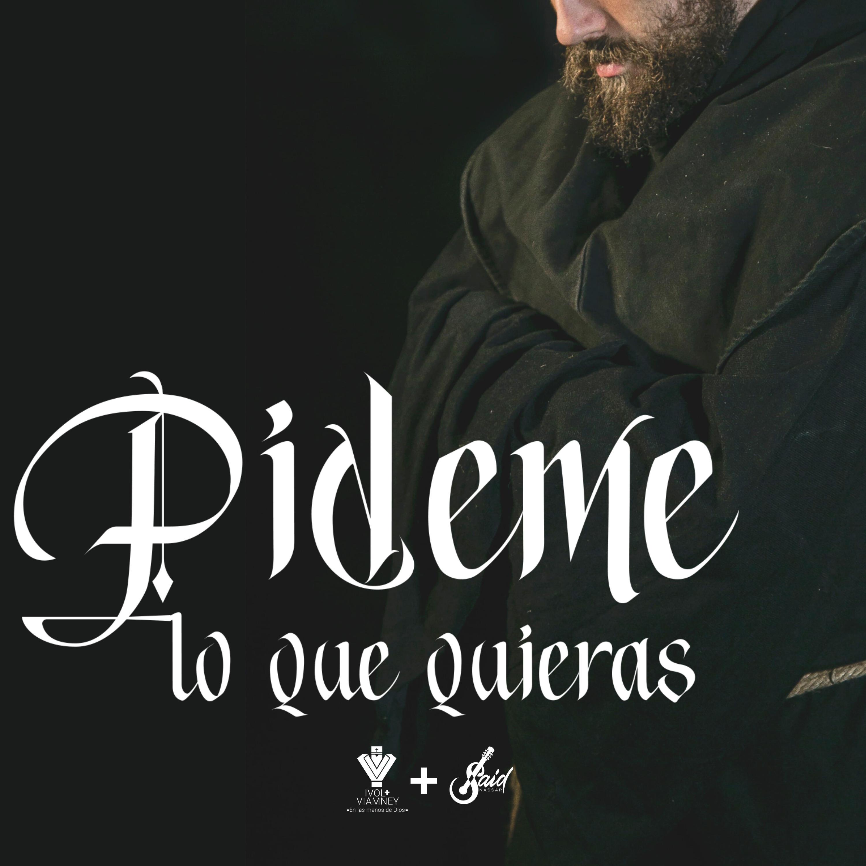 Постер альбома Pideme Lo Que Quieras
