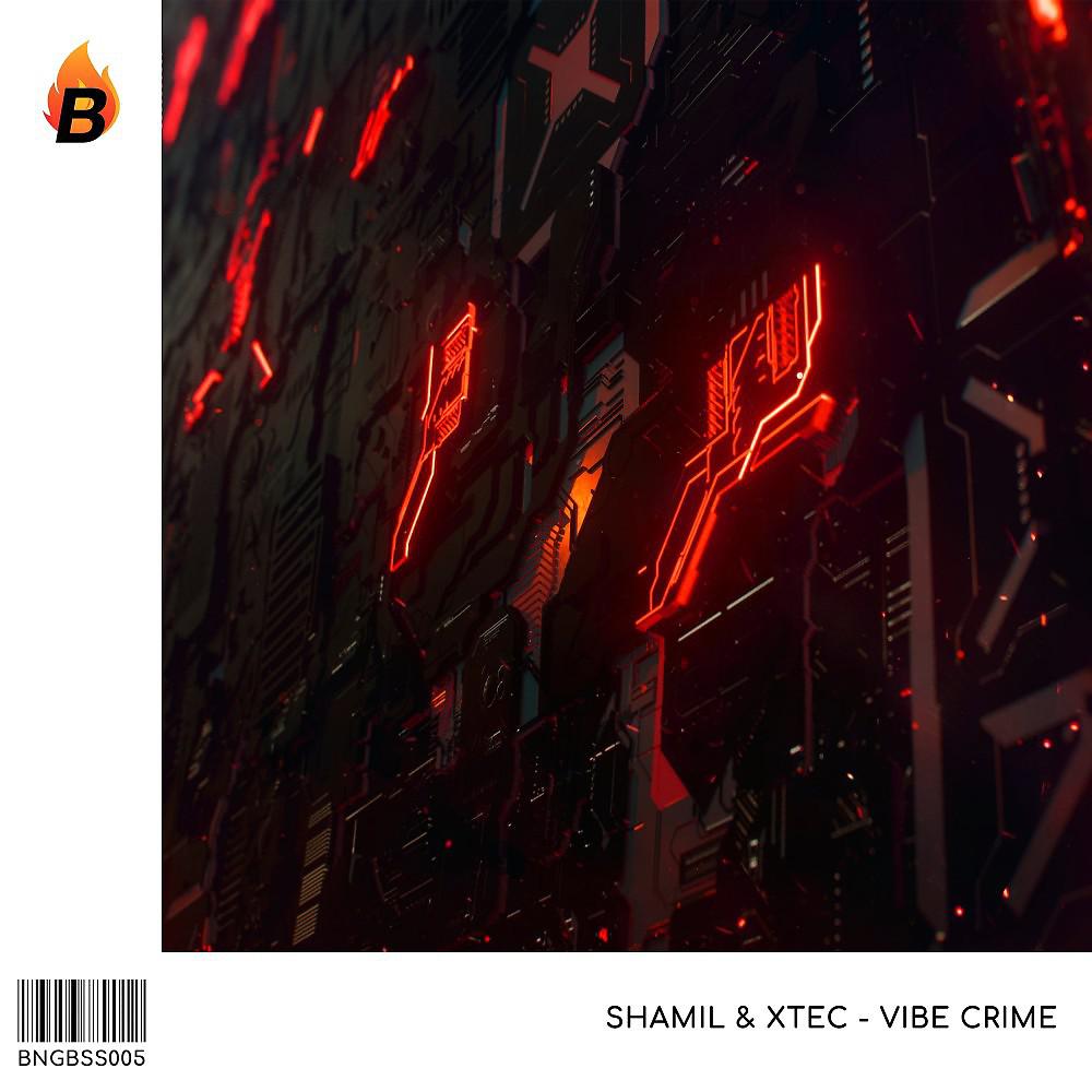 Постер альбома Vibe Crime