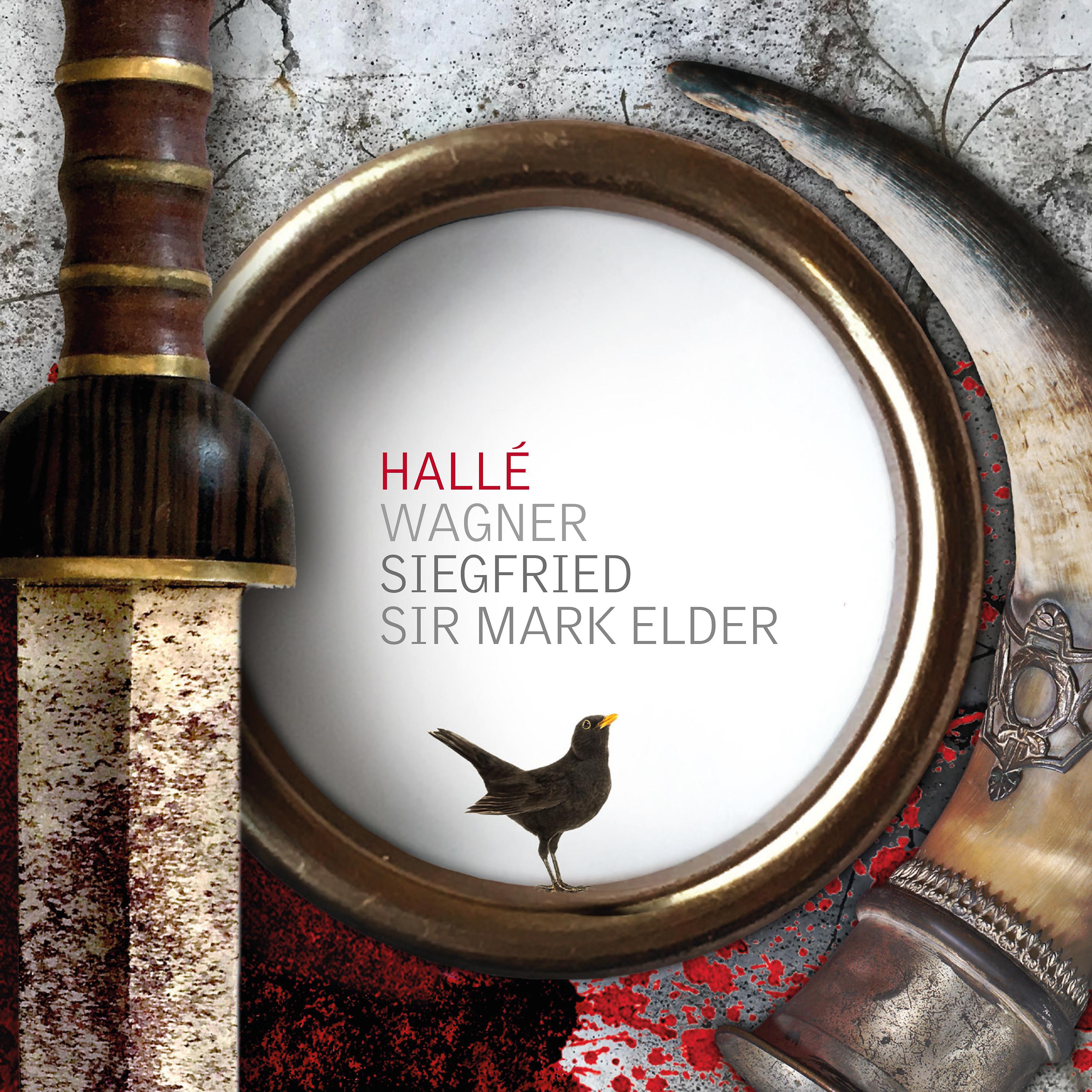 Постер альбома Wagner Siegfried