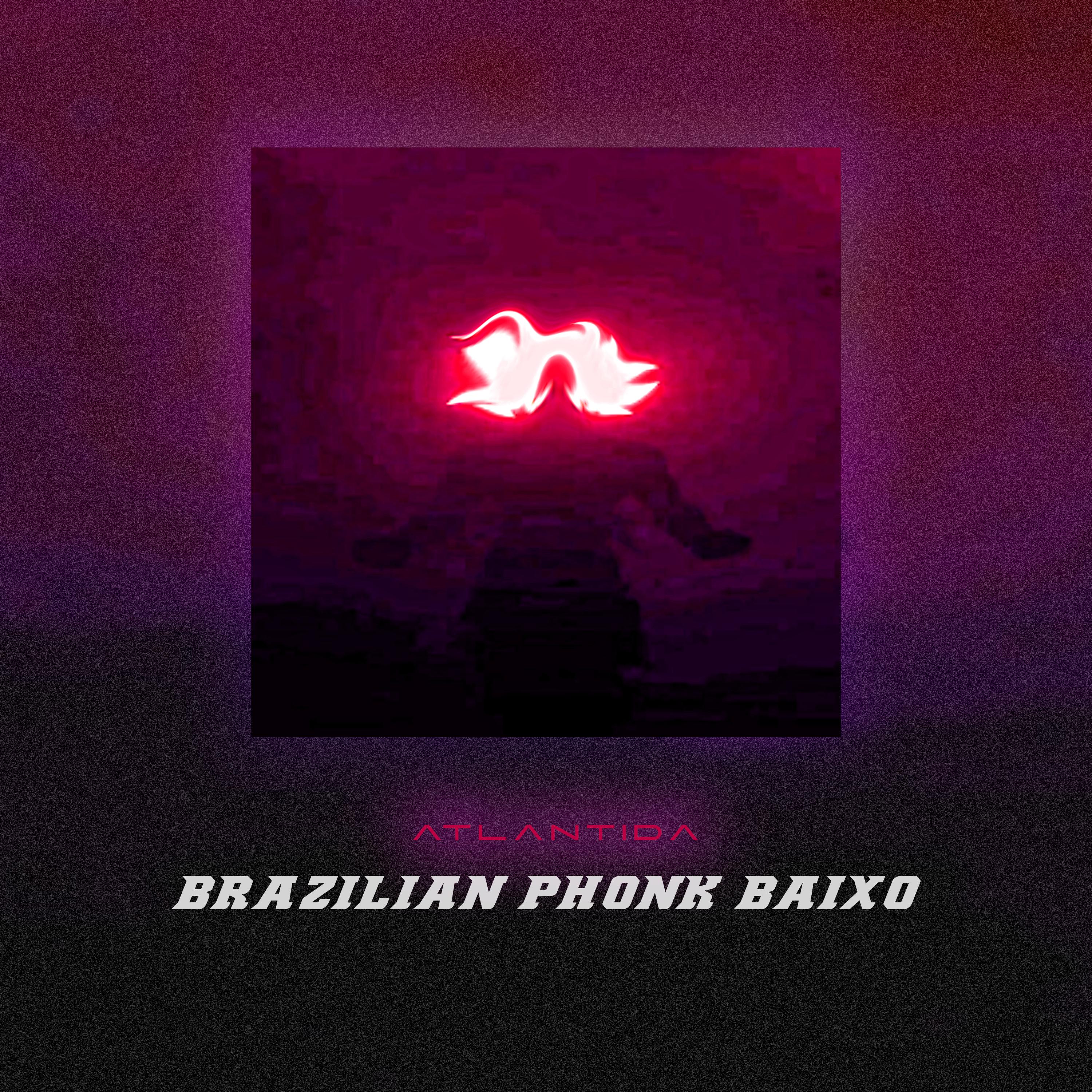Постер альбома Brazilian Phonk Baixo