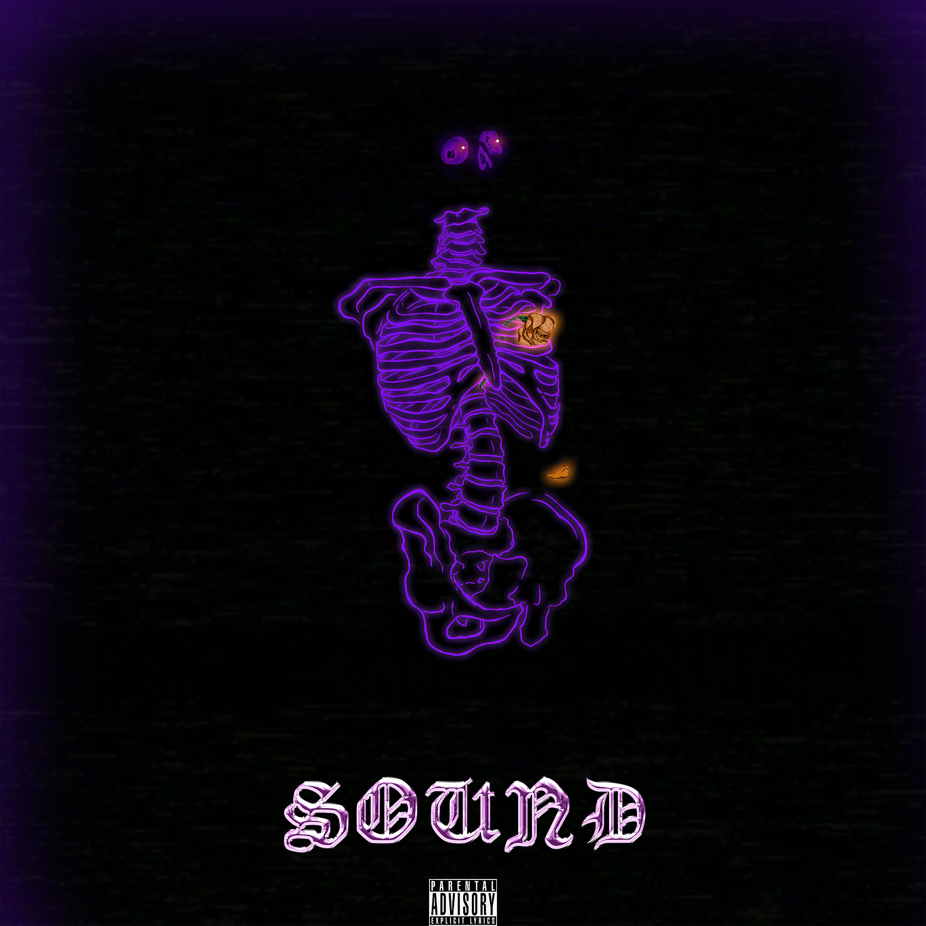 Постер альбома Sound
