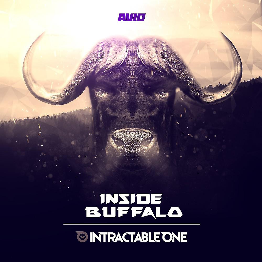 Постер альбома Inside Buffalo