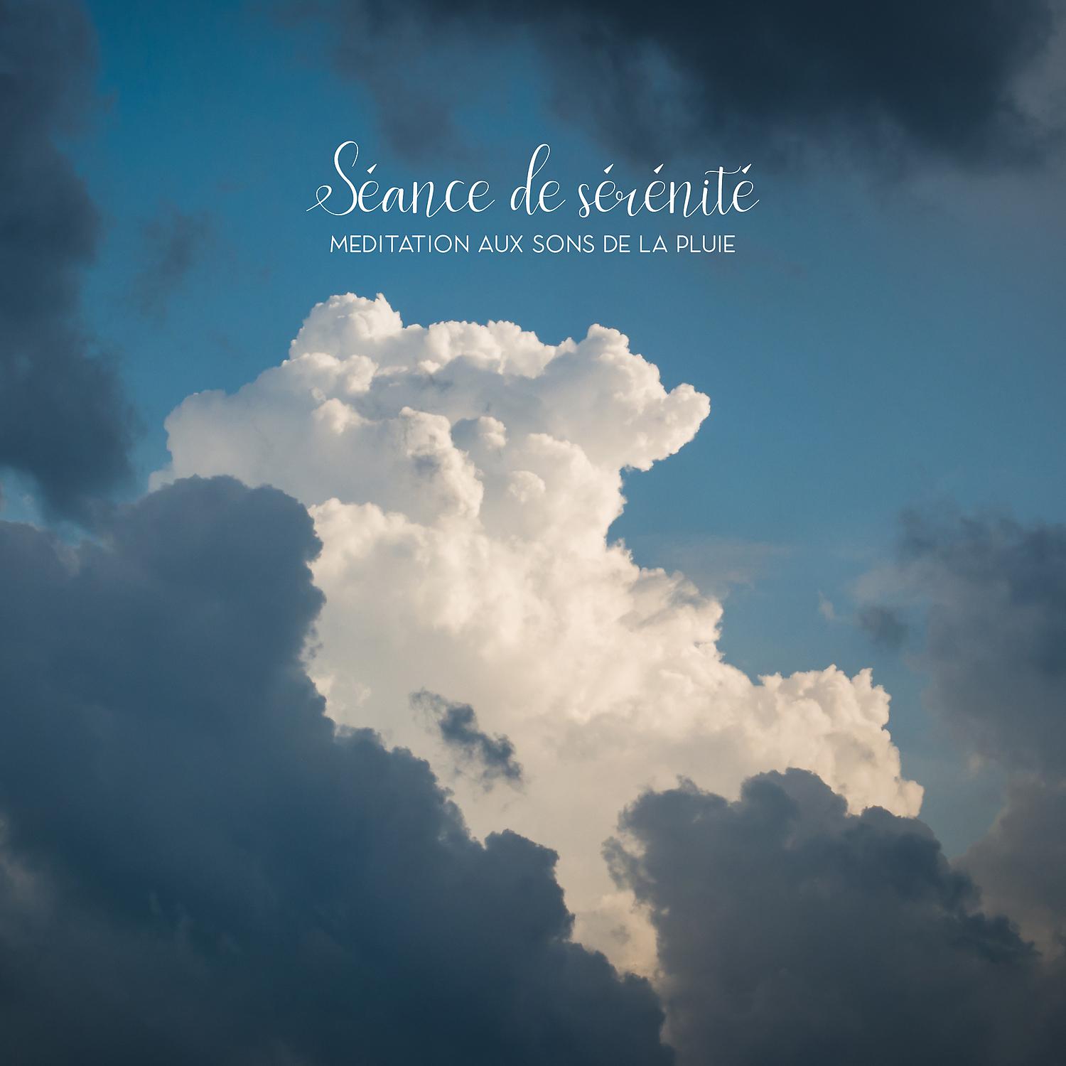 Постер альбома Séance de sérénité: Méditation aux sons de la pluie, Relaxation naturelle