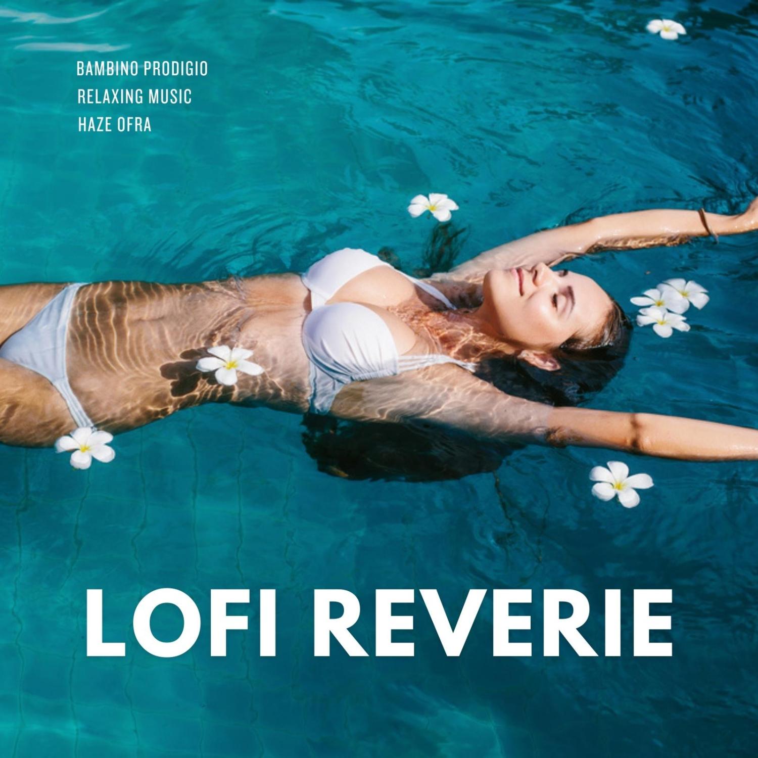 Постер альбома Lofi Reverie