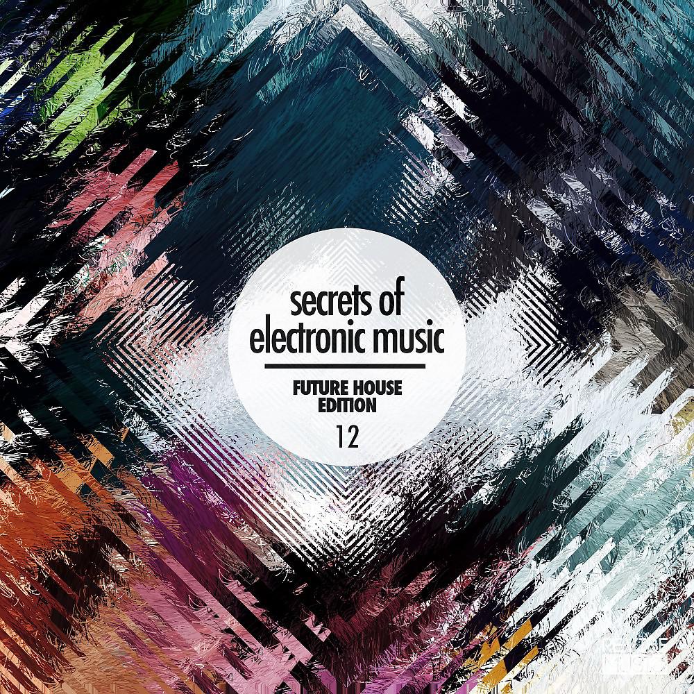 Постер альбома Secrets of Electronic Music - Future House Edition #12