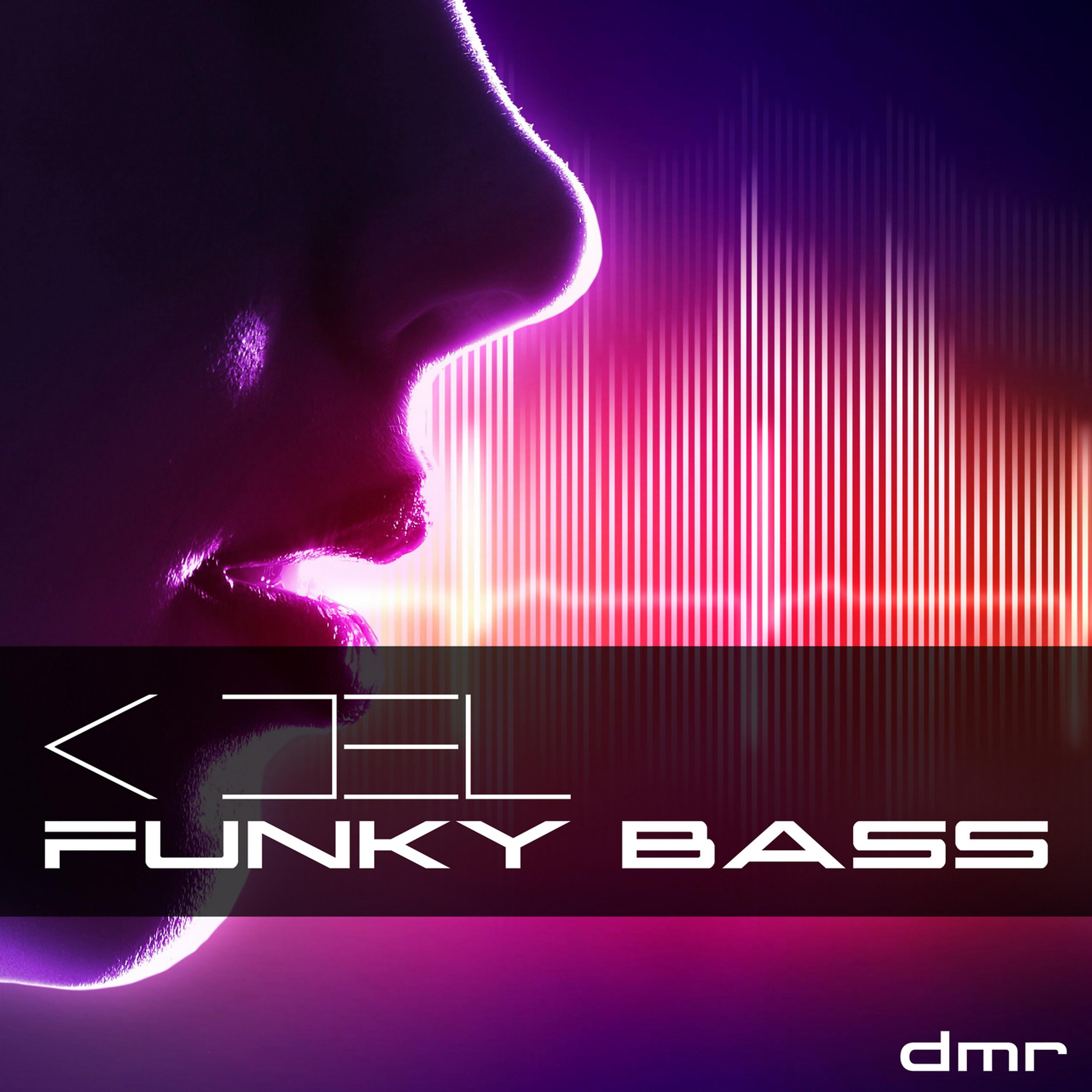 Постер альбома Funky Bass