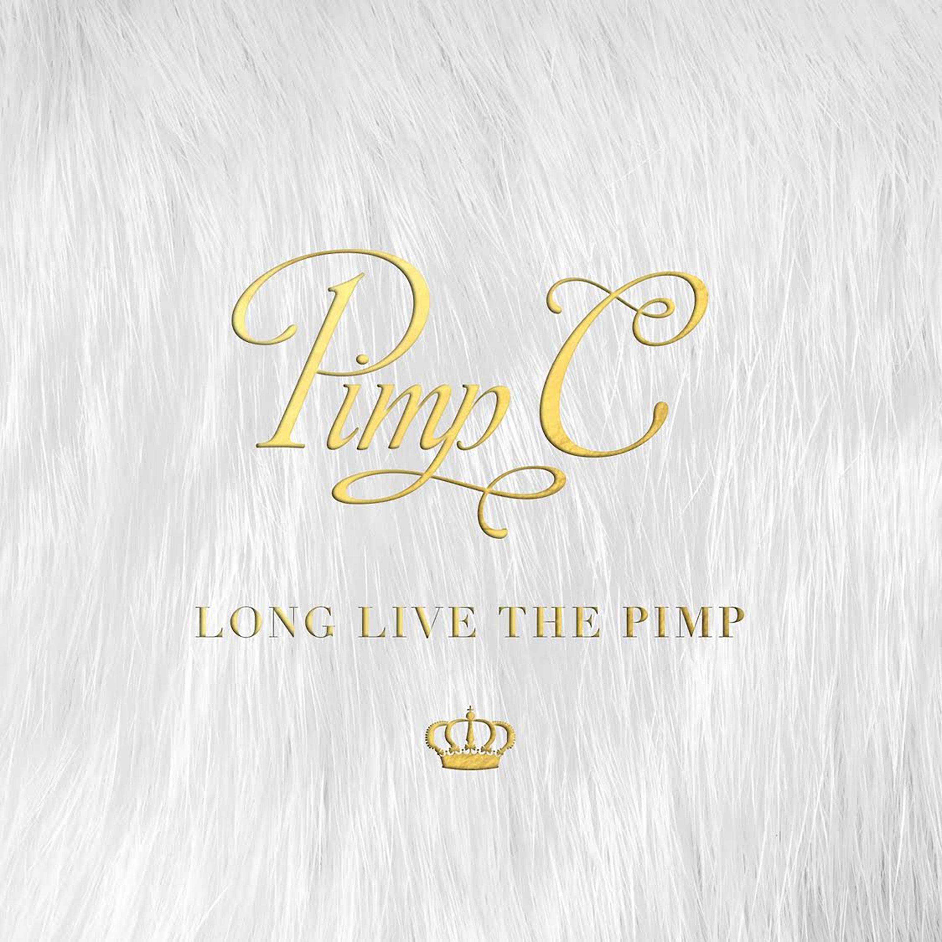 Постер альбома Long Live the Pimp