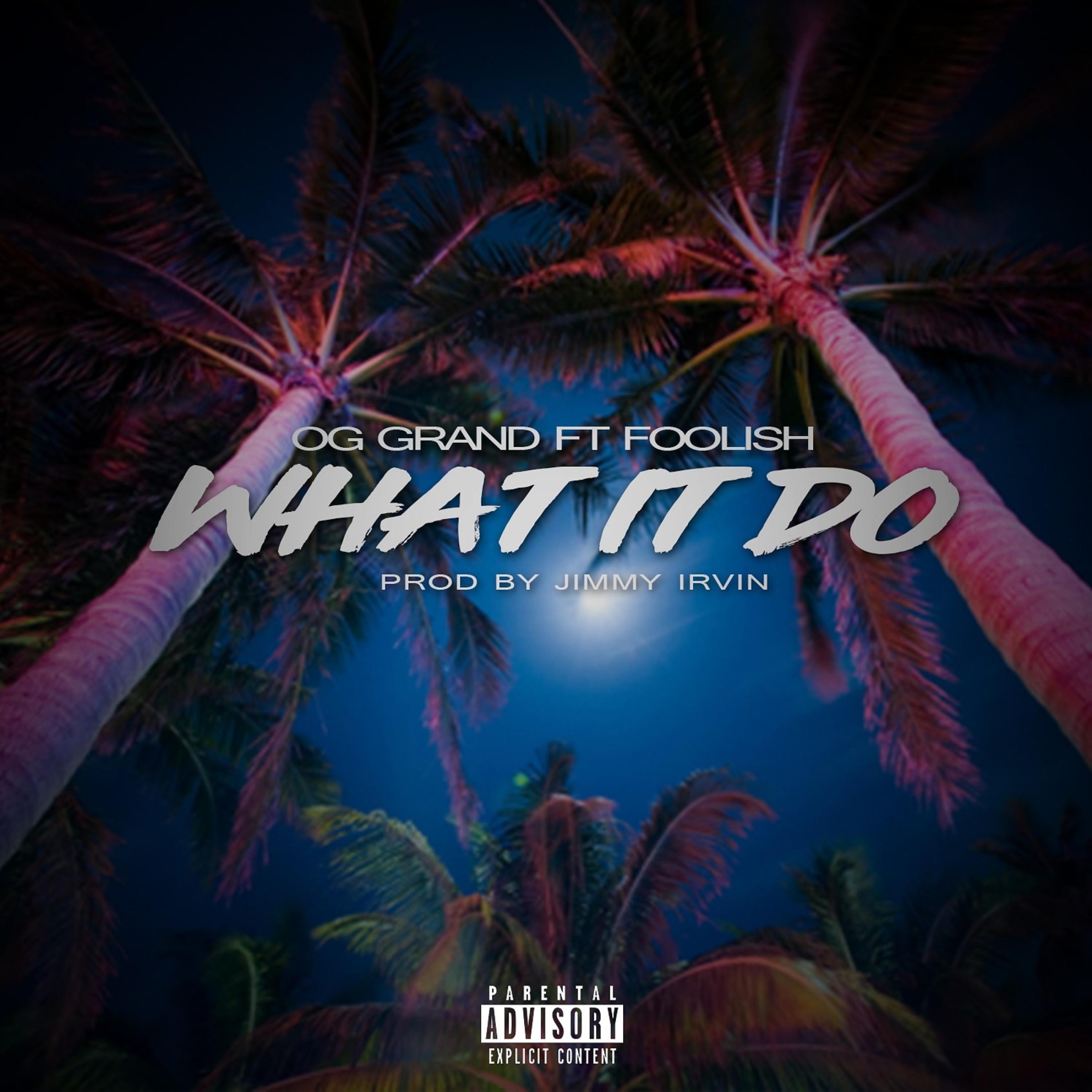 Постер альбома What It Do (feat. Foolish)