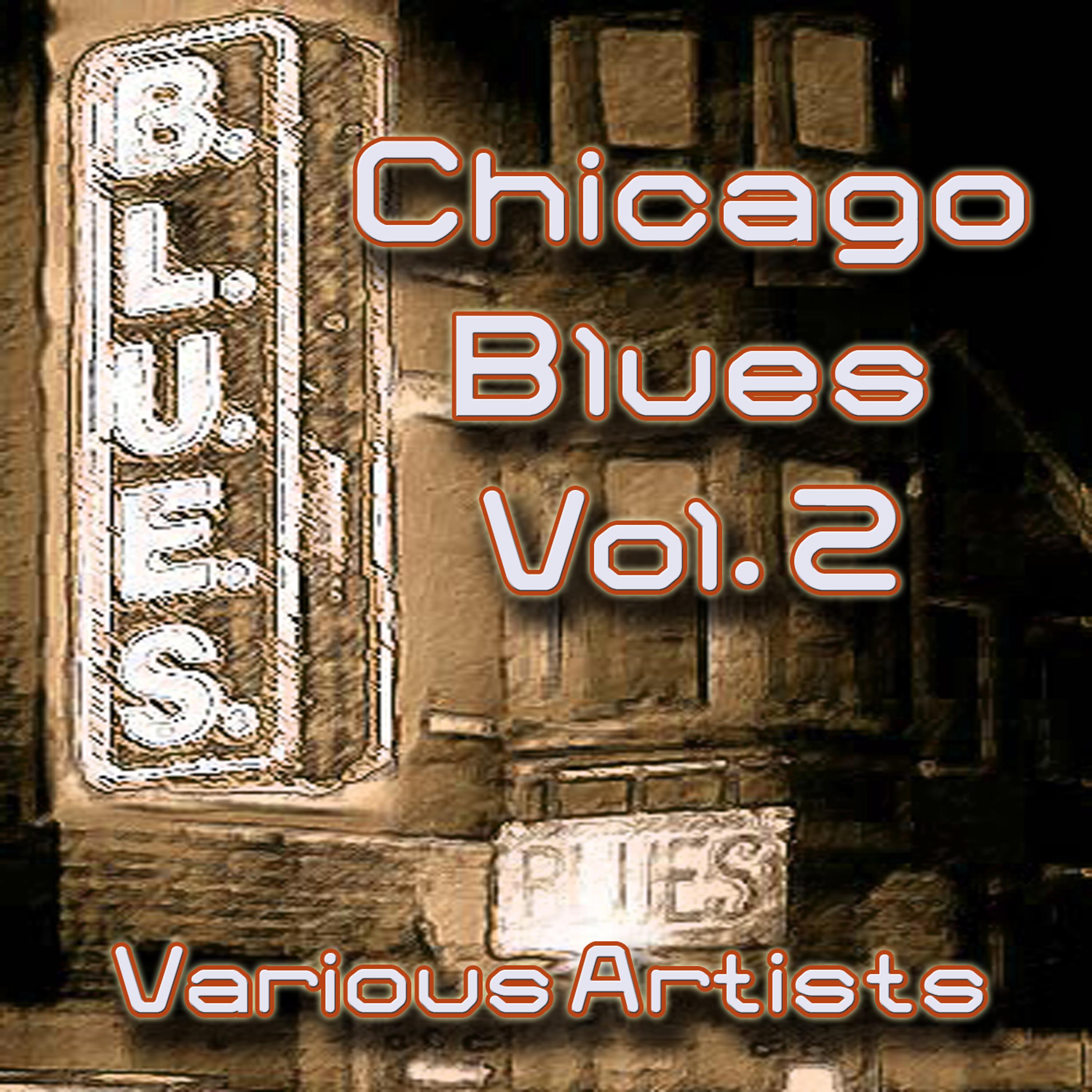 Постер альбома Chicago Blues, Vol. 2