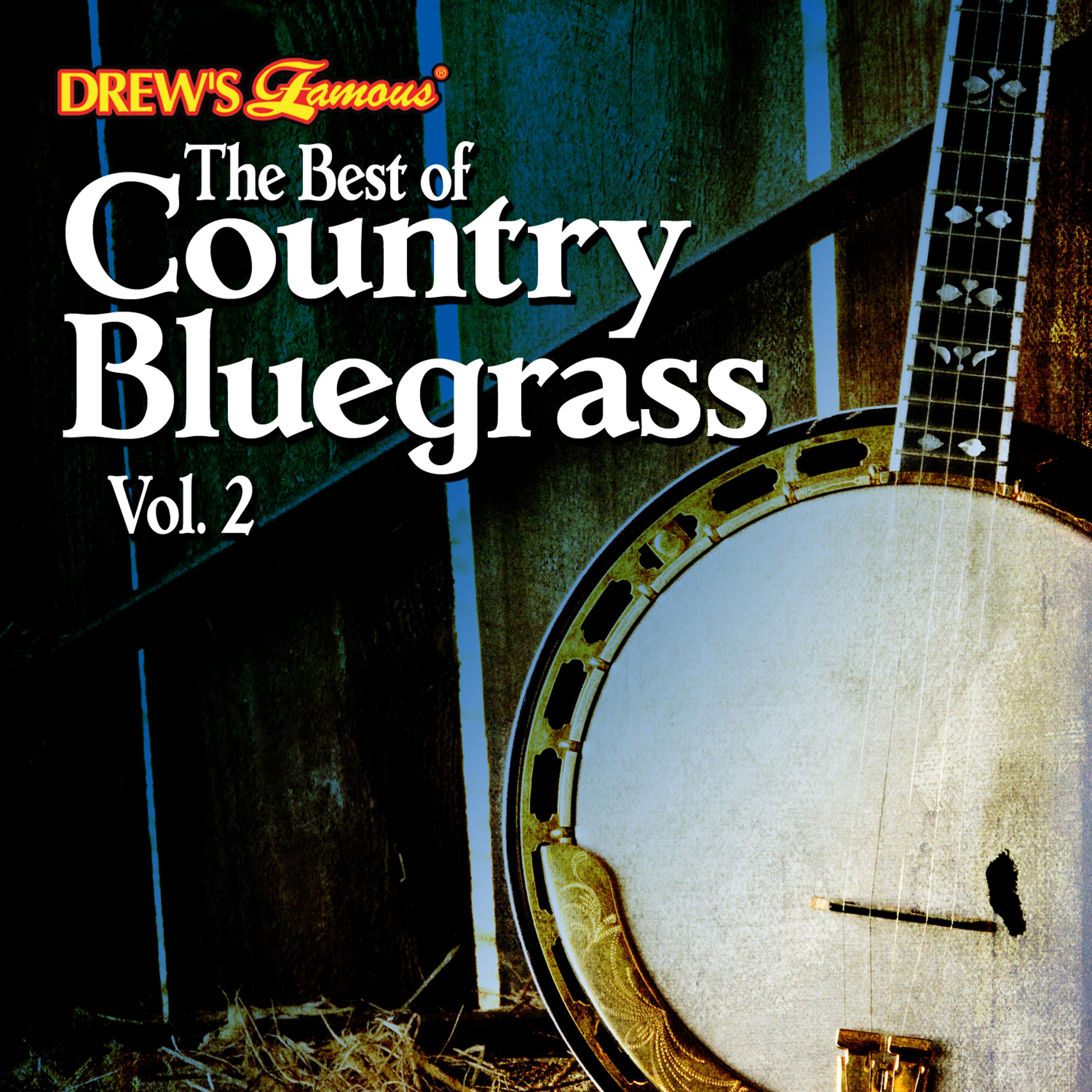 Постер альбома The Best of Country Bluegrass, Vol. 2