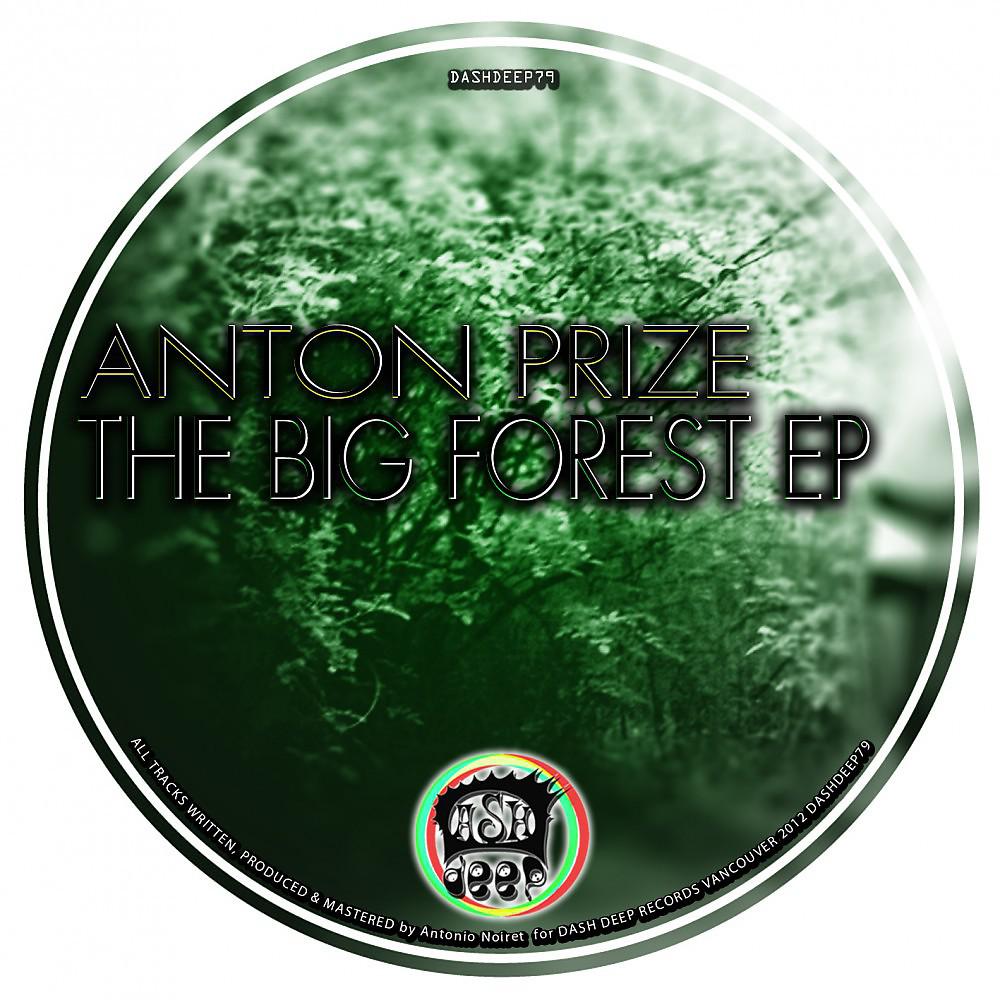 Постер альбома The Big Forest