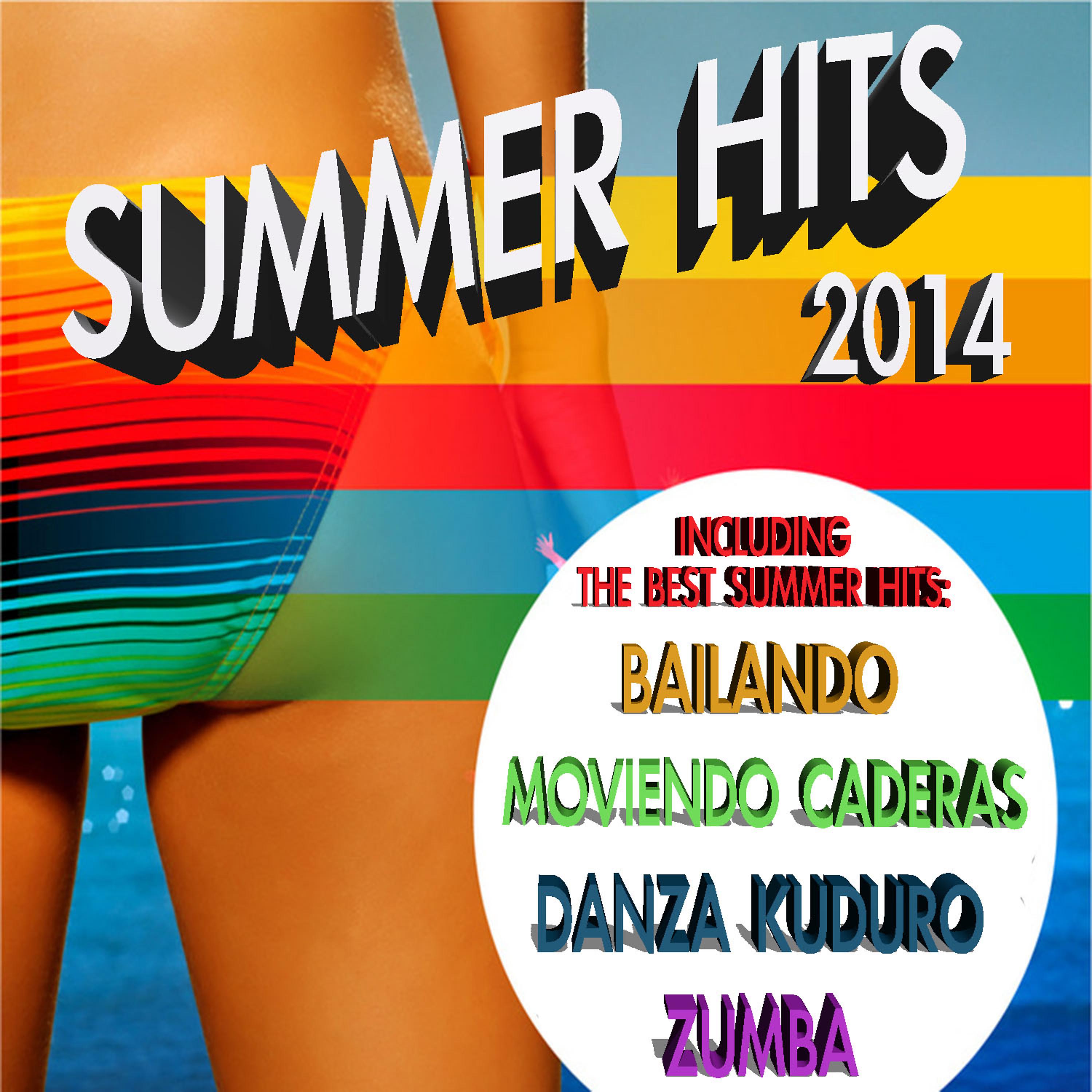 Постер альбома Summer Hits 2014