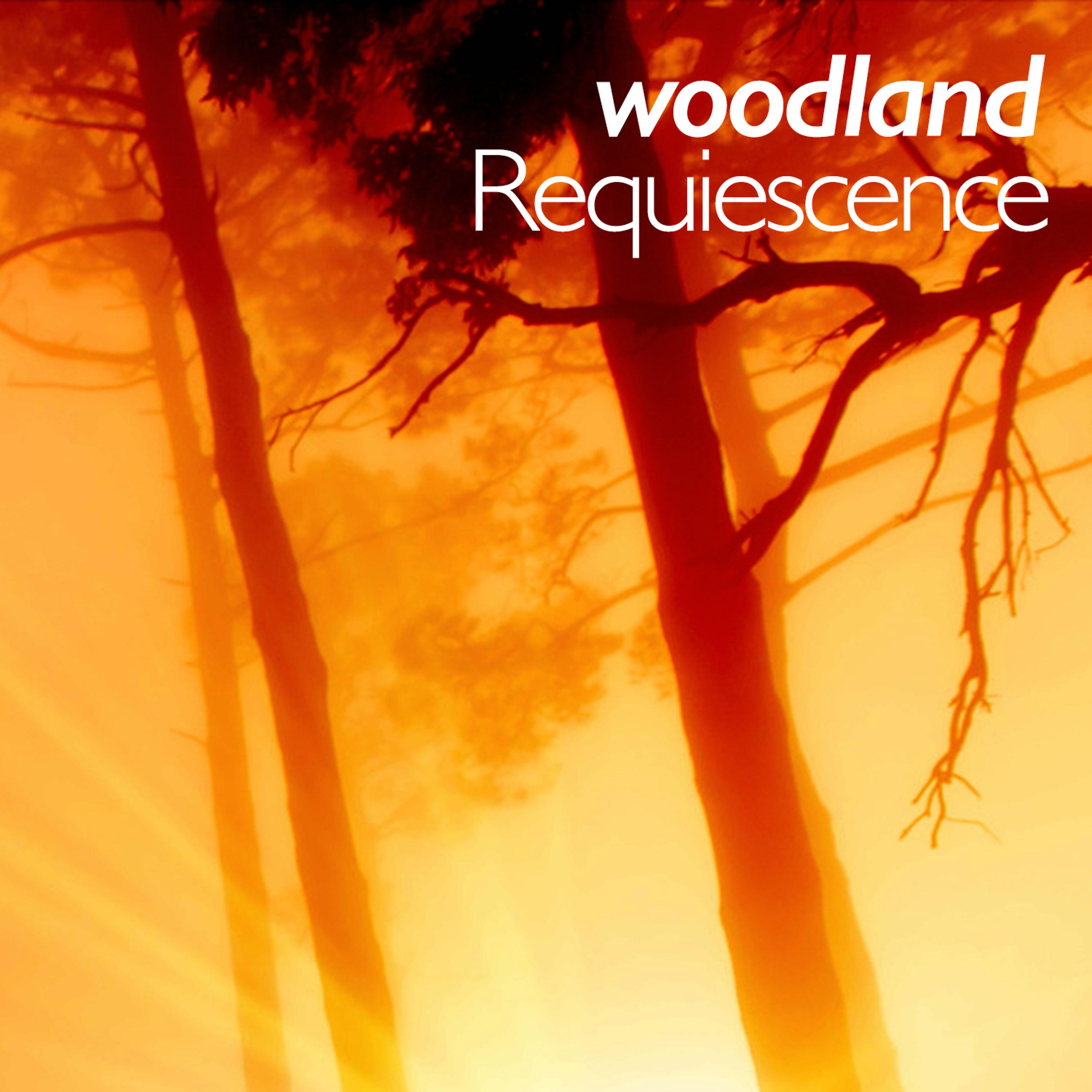 Постер альбома Woodland Requiescence