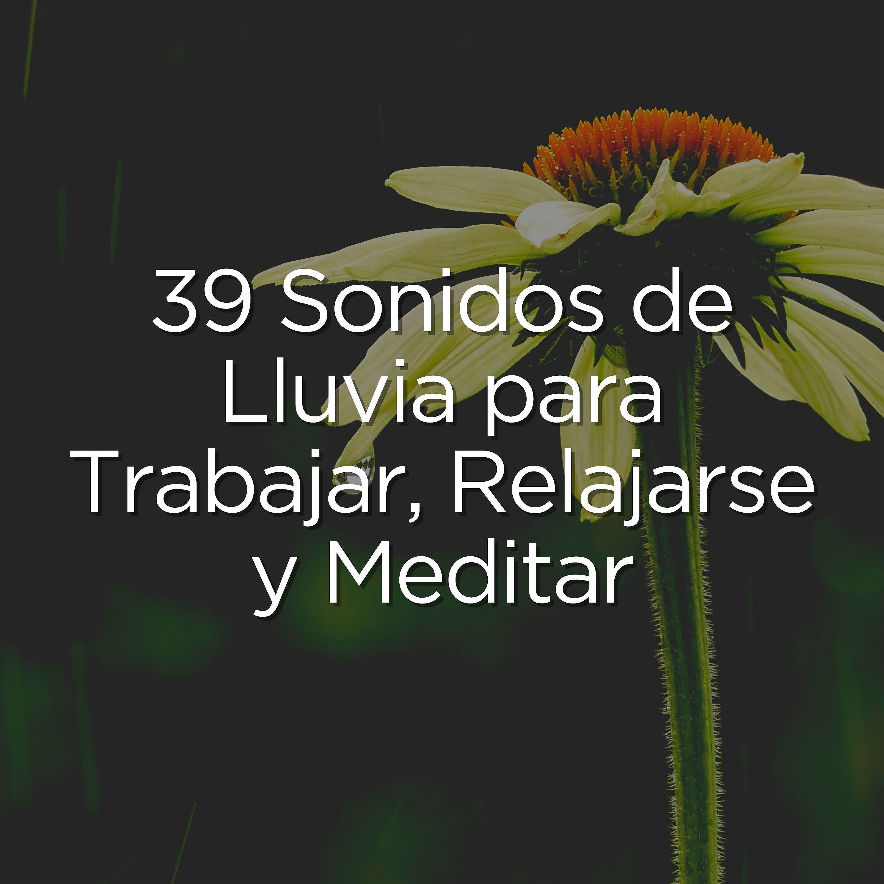 Постер альбома 39 Sonidos de Lluvia para Trabajar, Relajarse y Meditar