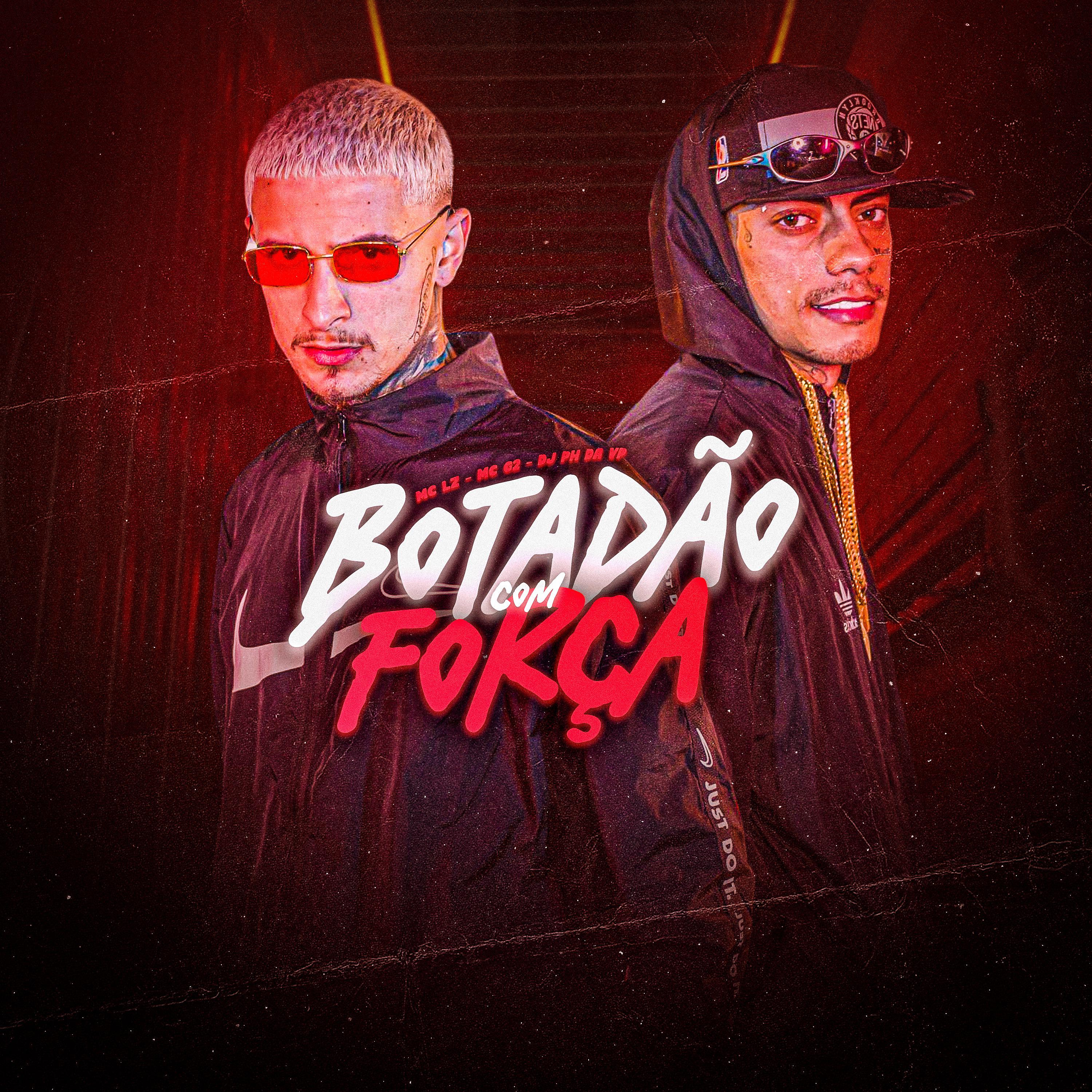 Постер альбома Botadão Com Força