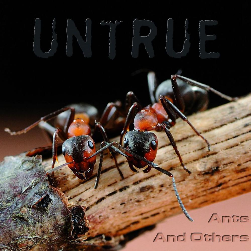 Постер альбома Ants and Others