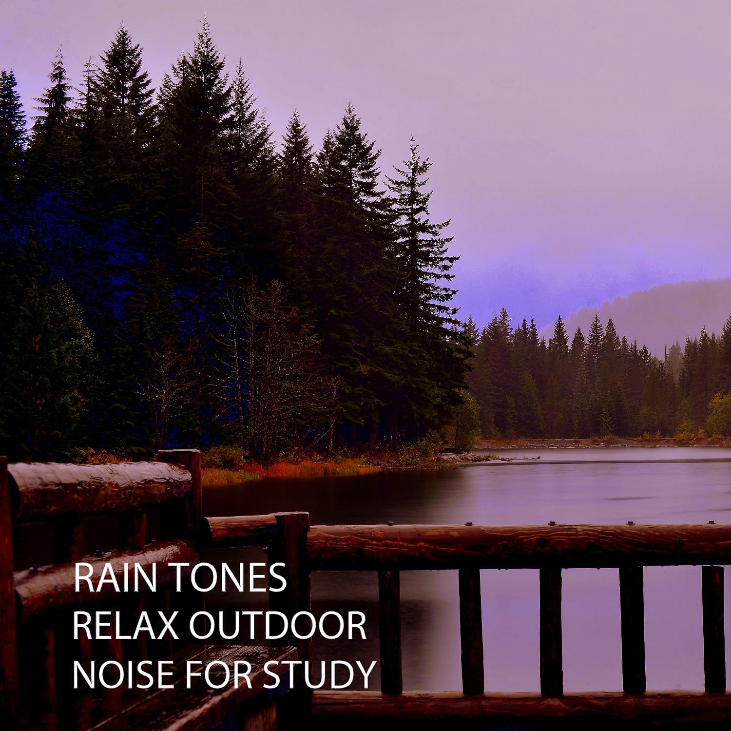 Постер альбома Rain Tones: Relax Outdoor Noise For Study