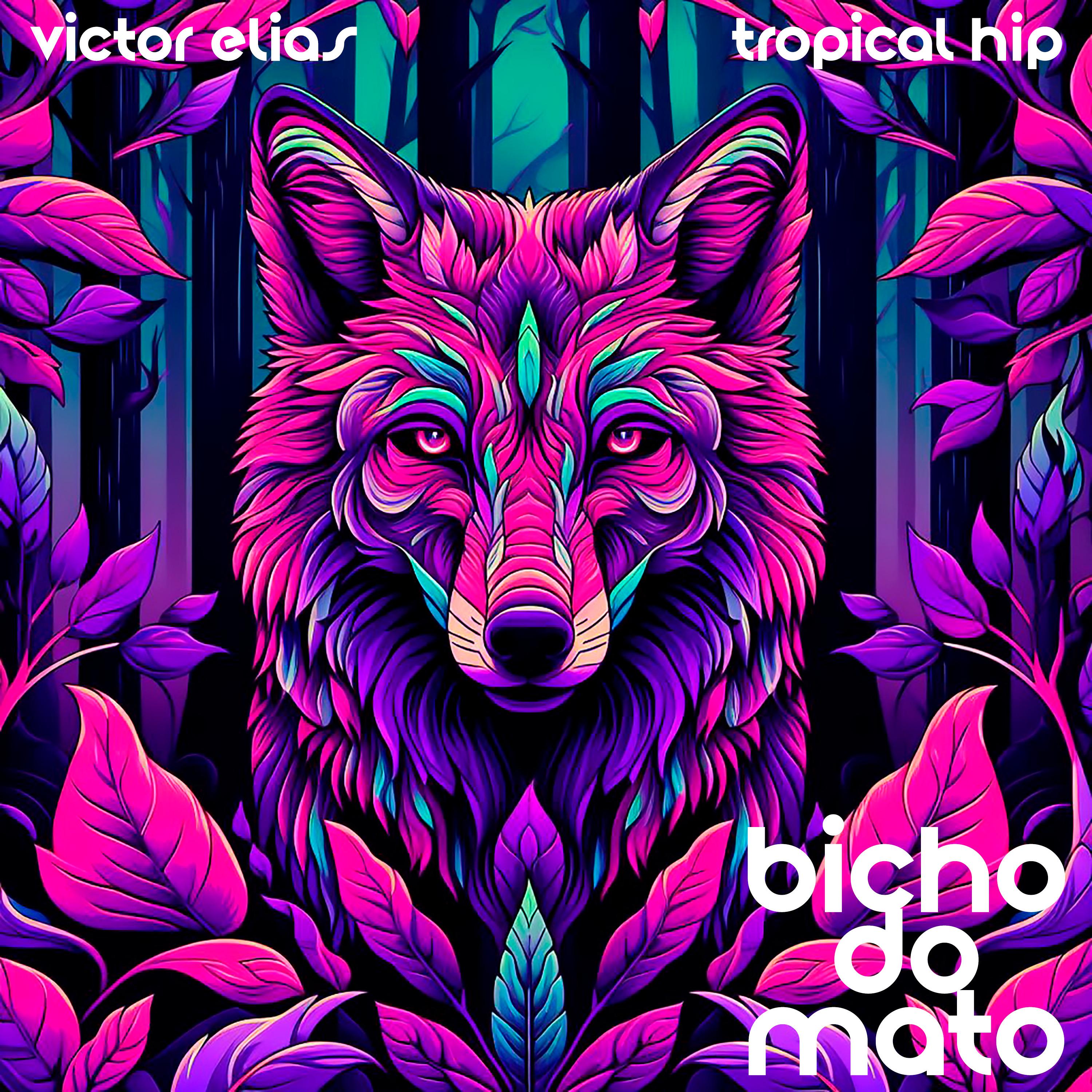 Постер альбома Bicho do Mato