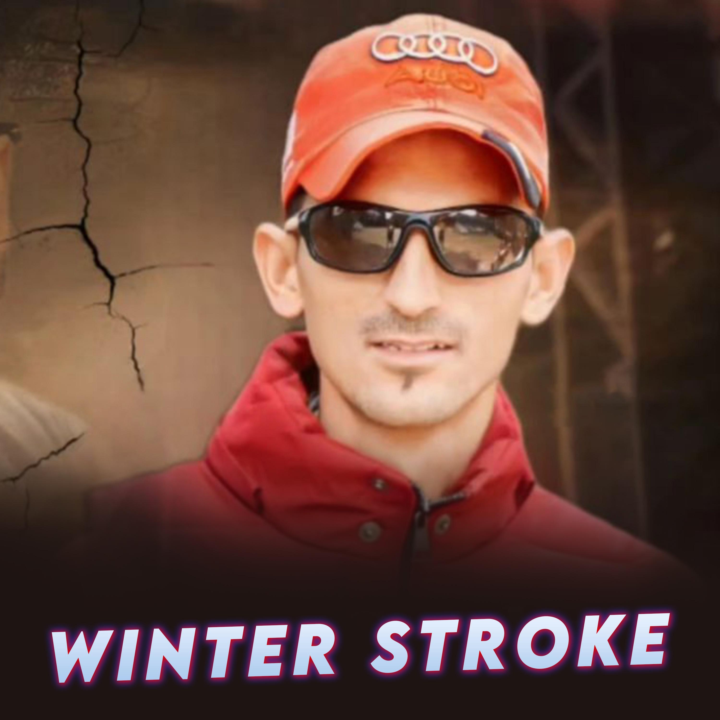 Постер альбома Winter Stroke