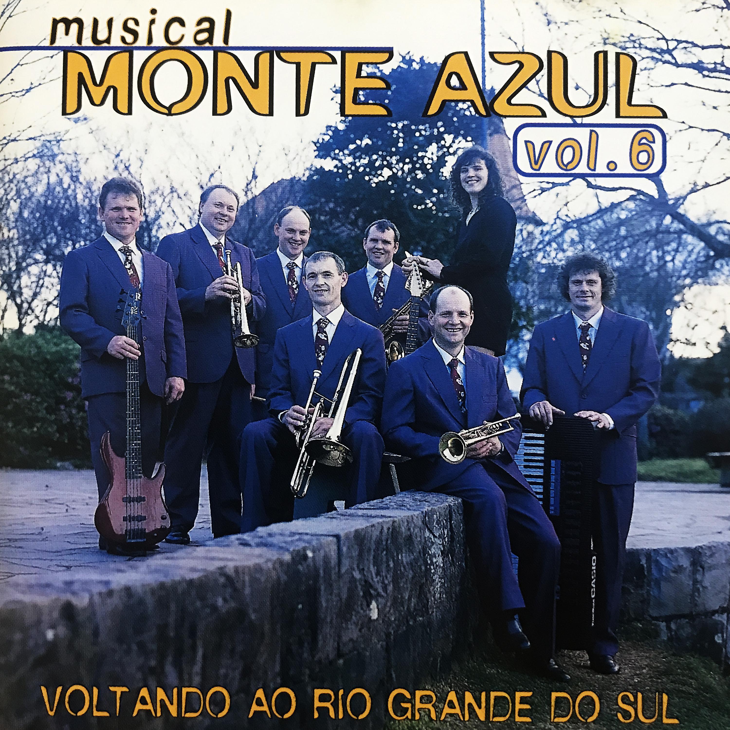 Постер альбома Voltando Ao Rio Grande do Sul, Vol. 6