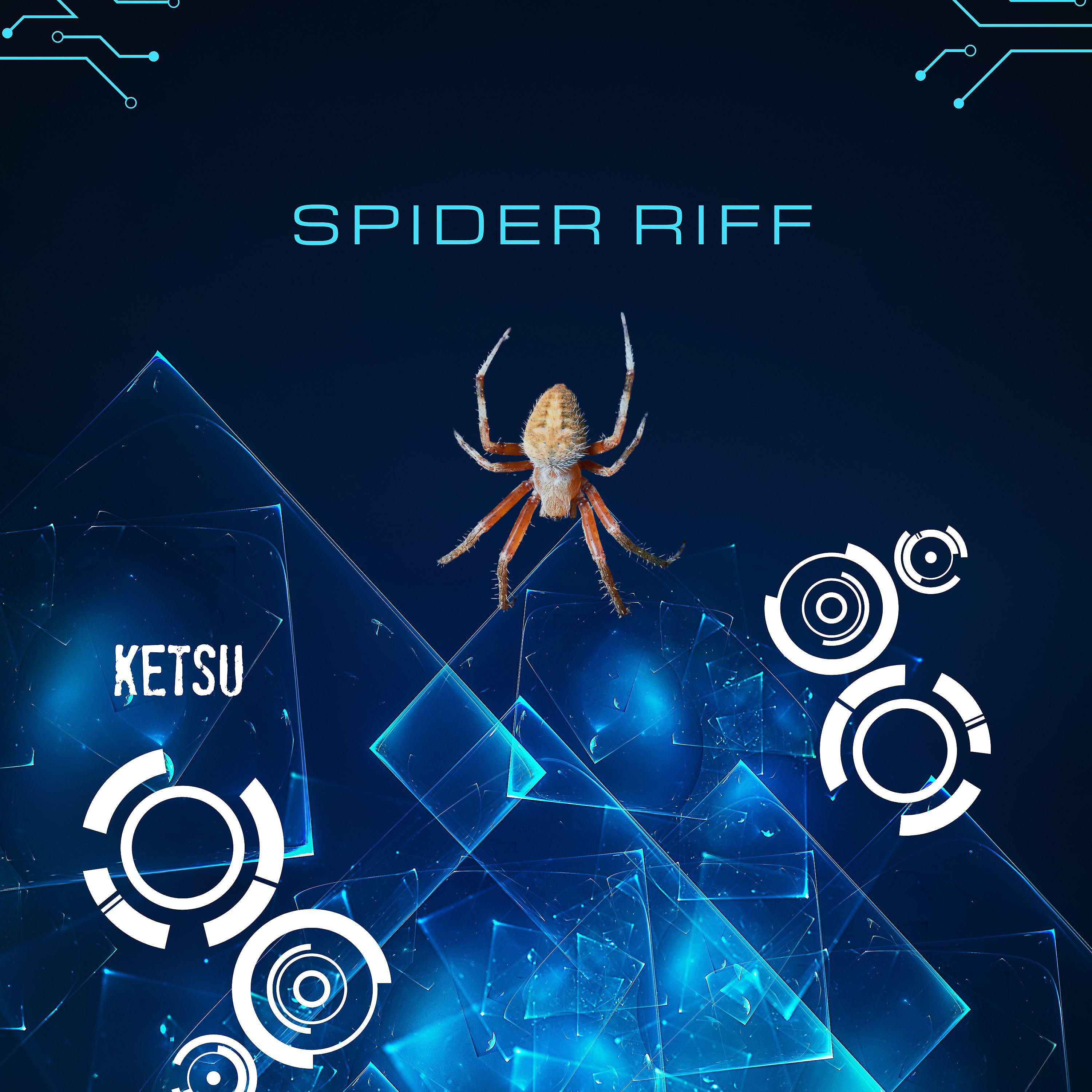 Постер альбома Spider Riff