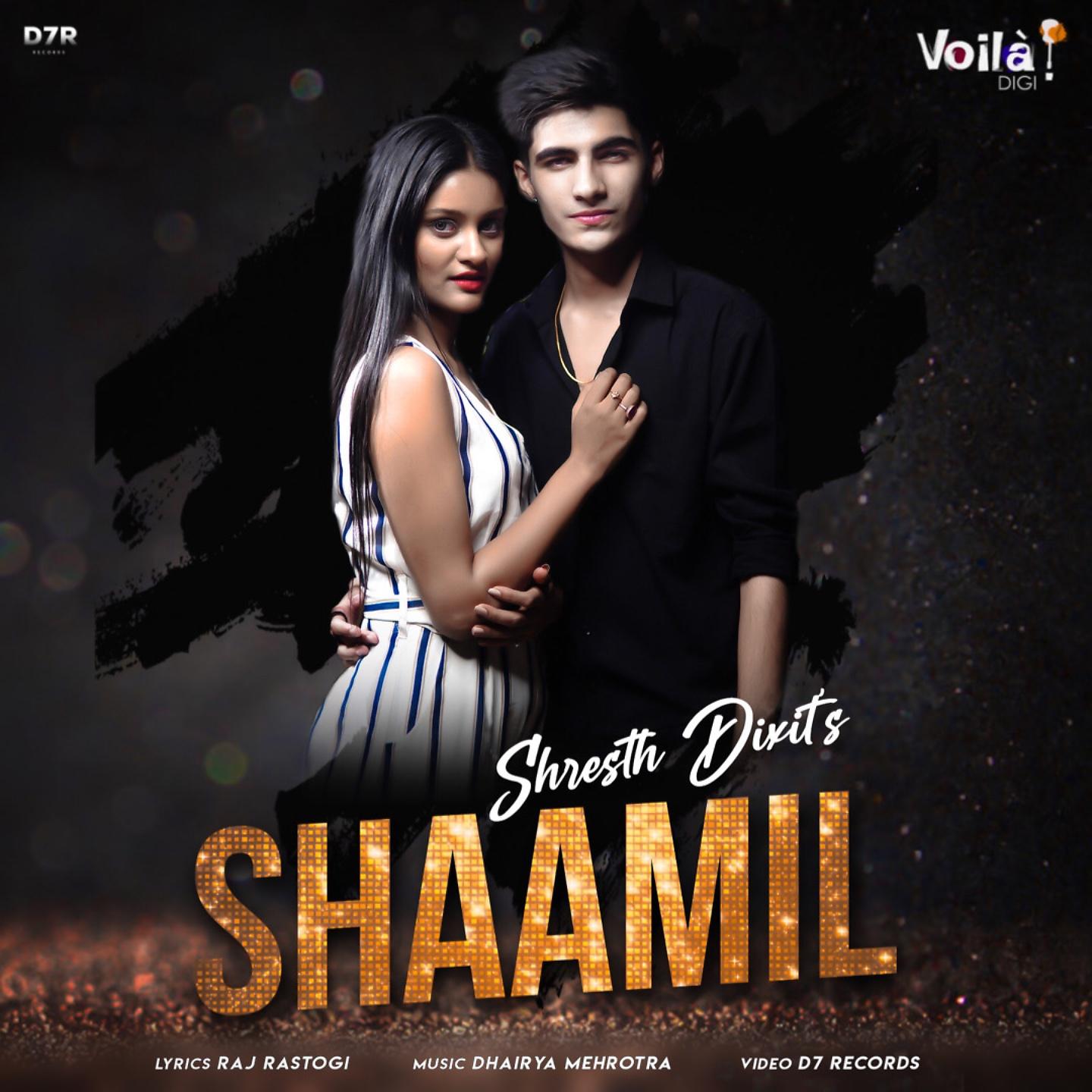 Постер альбома Shaamil