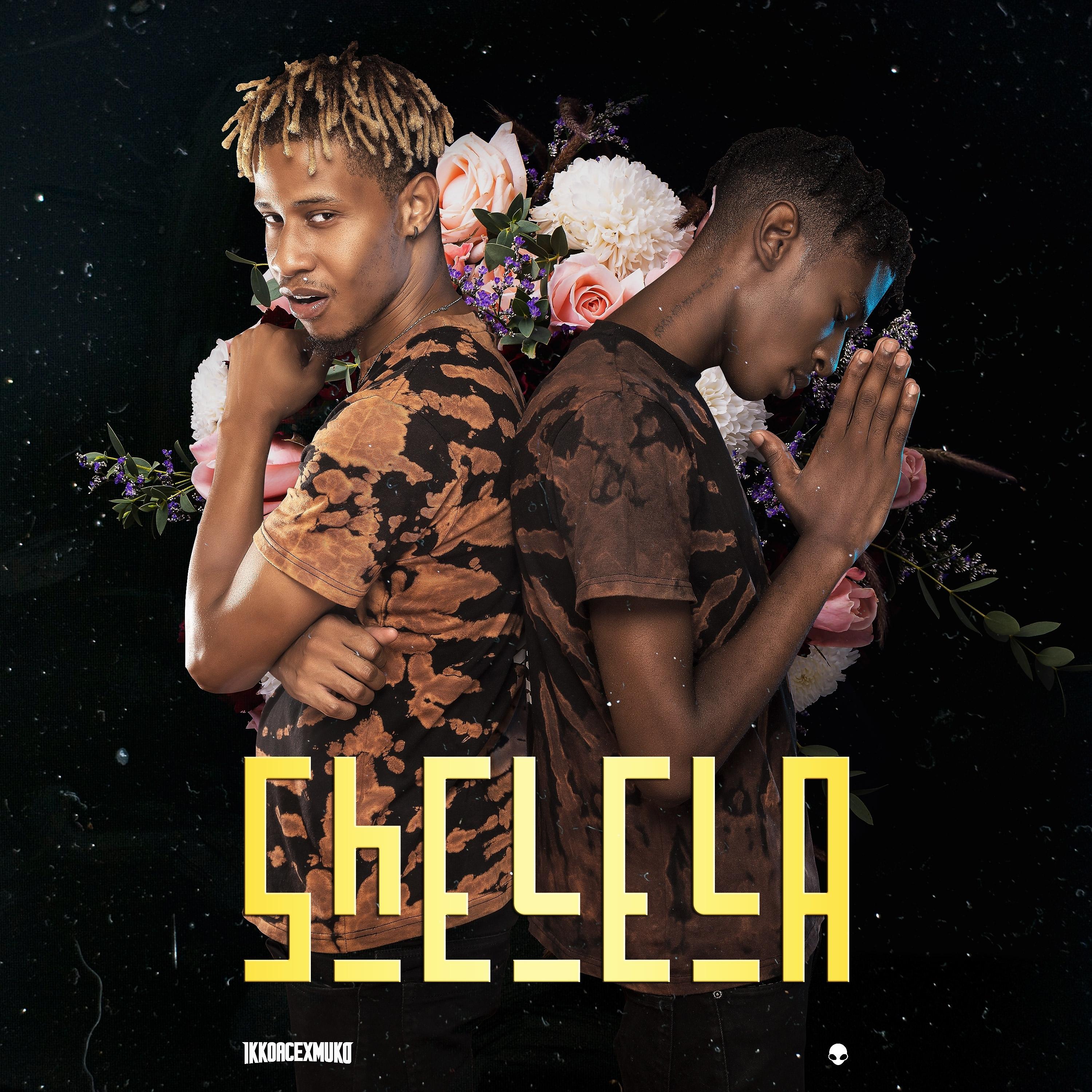 Постер альбома Shelela