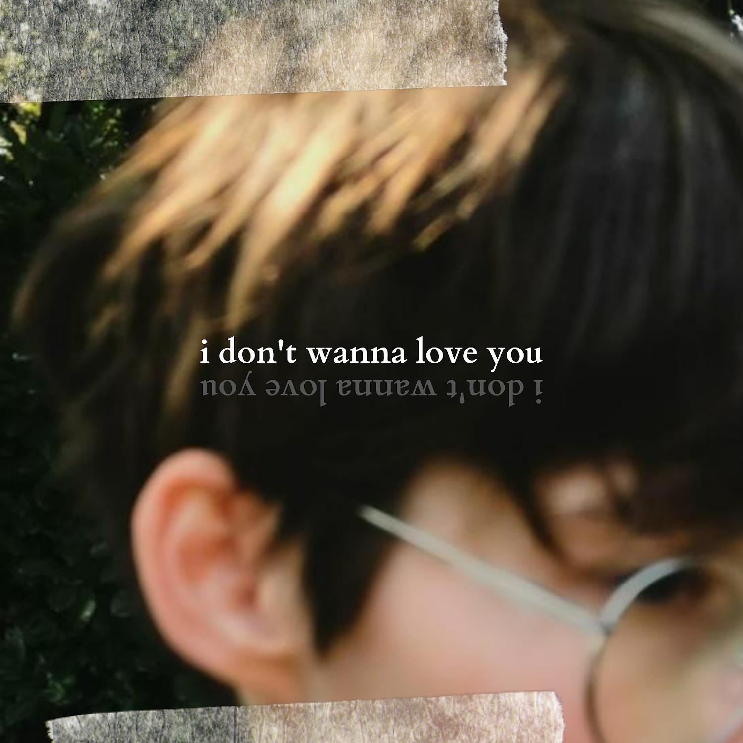 Постер альбома i don't wanna love you