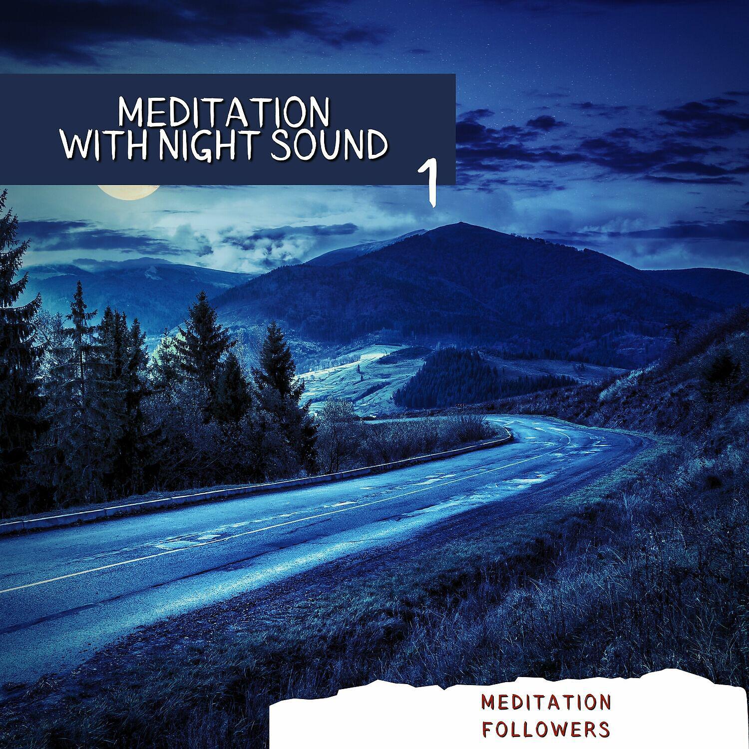 Постер альбома Meditation with Night Sound 1