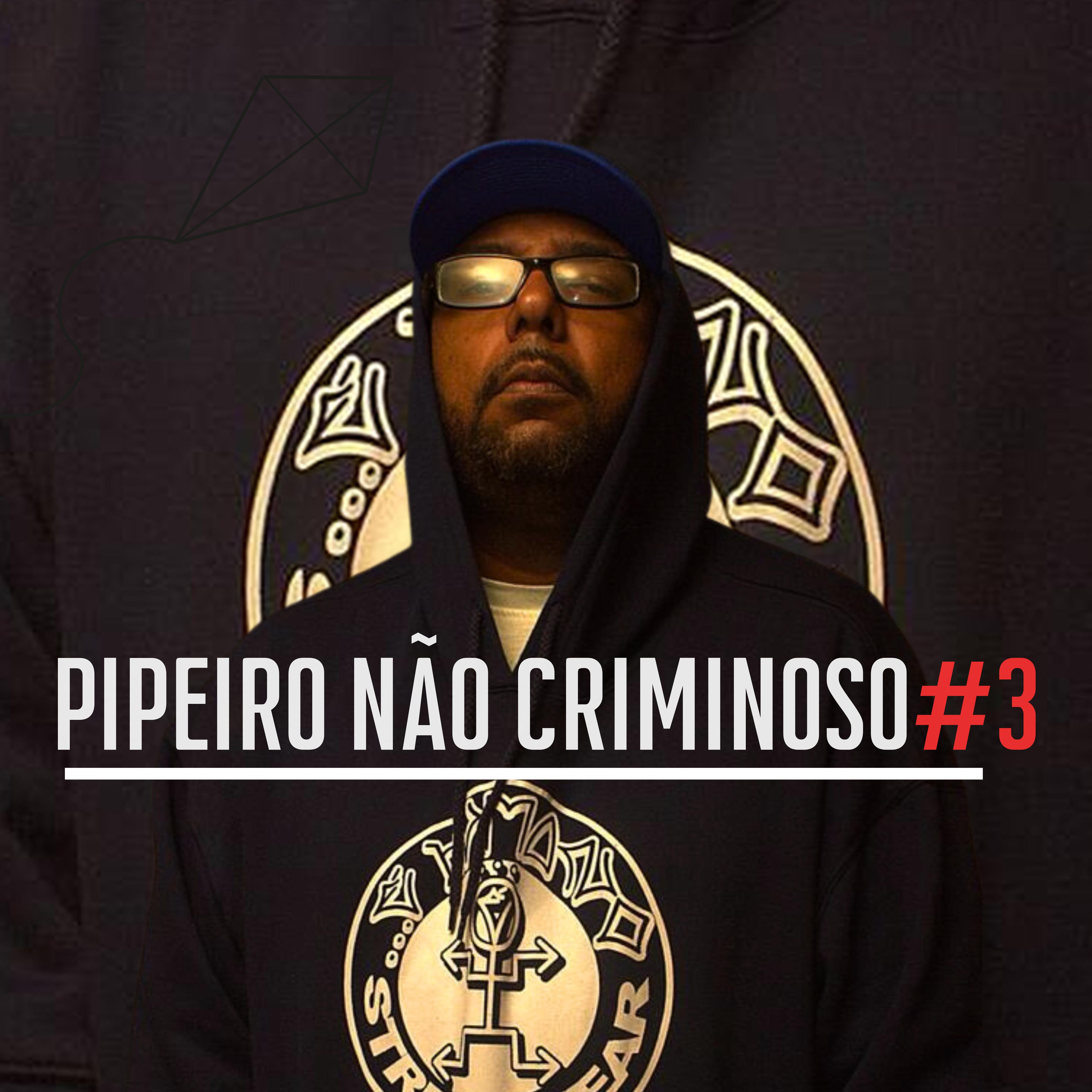 Постер альбома Pipeiro Não Criminoso #3