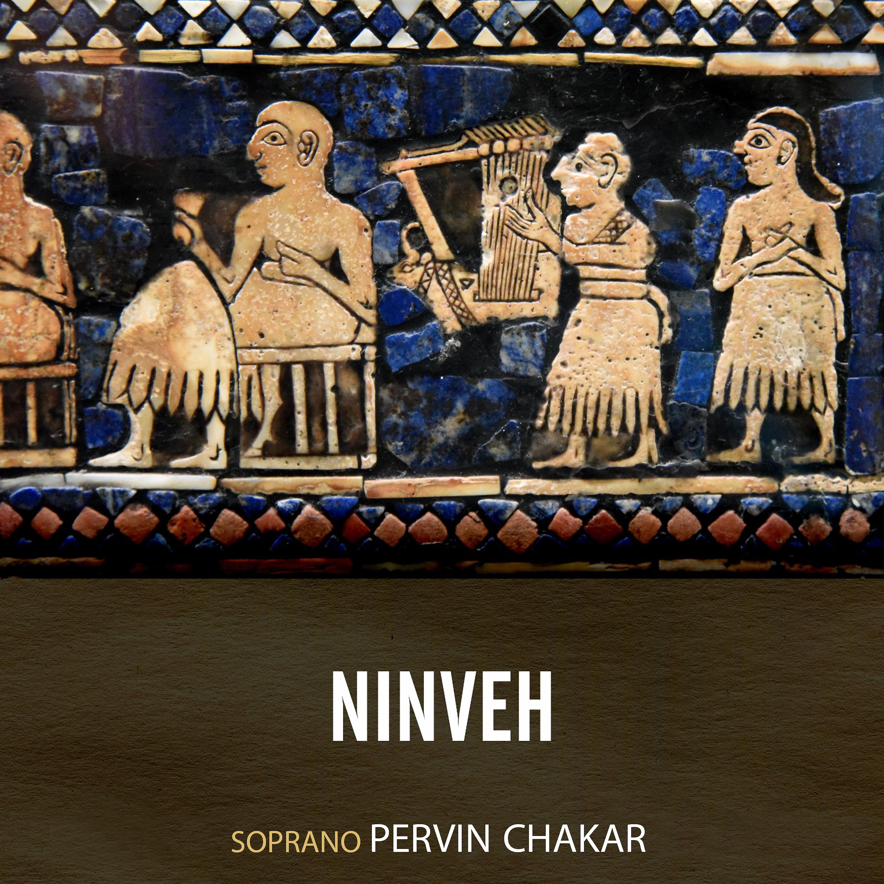Постер альбома Ninveh