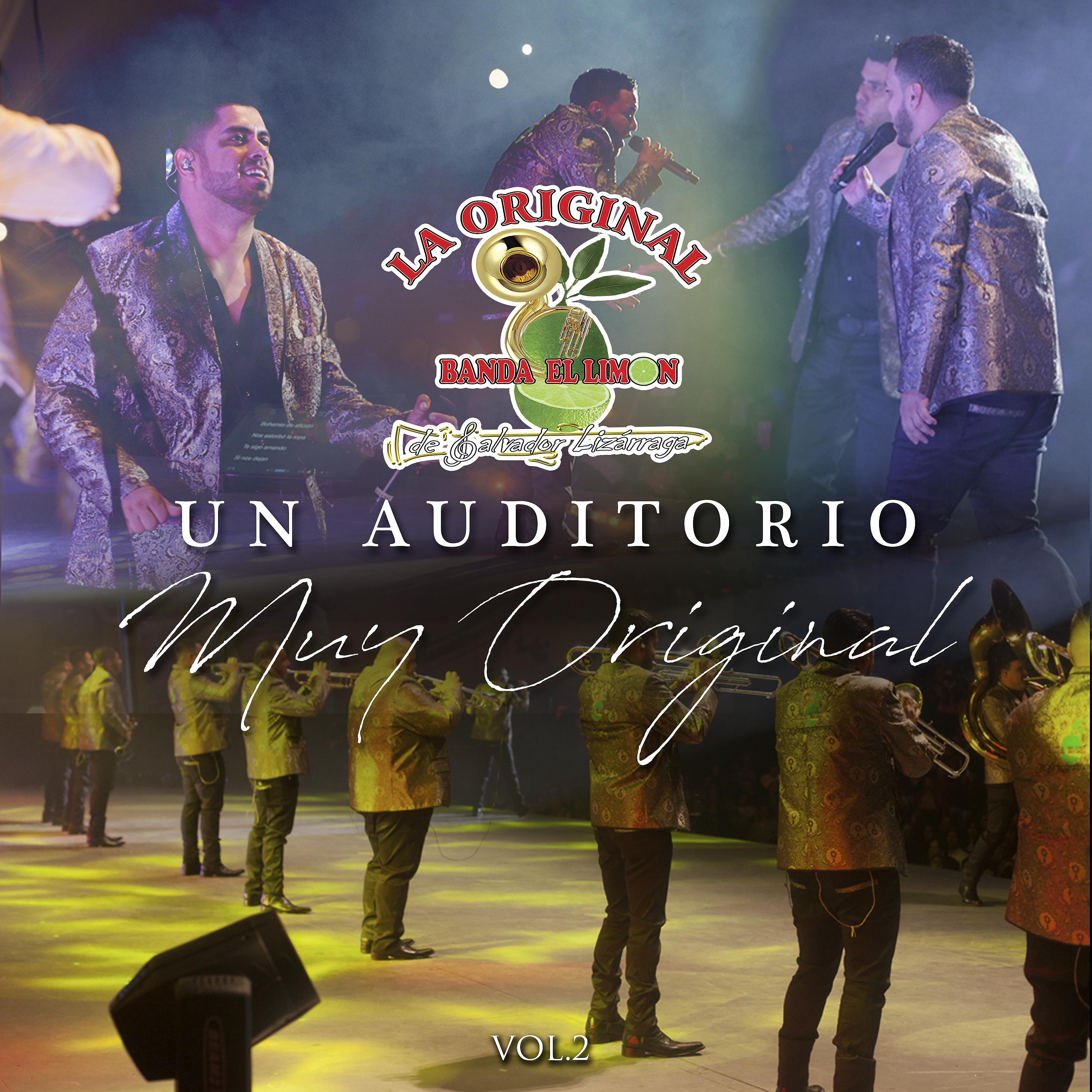 Постер альбома Un Auditorio Muy Original, Vol. 2