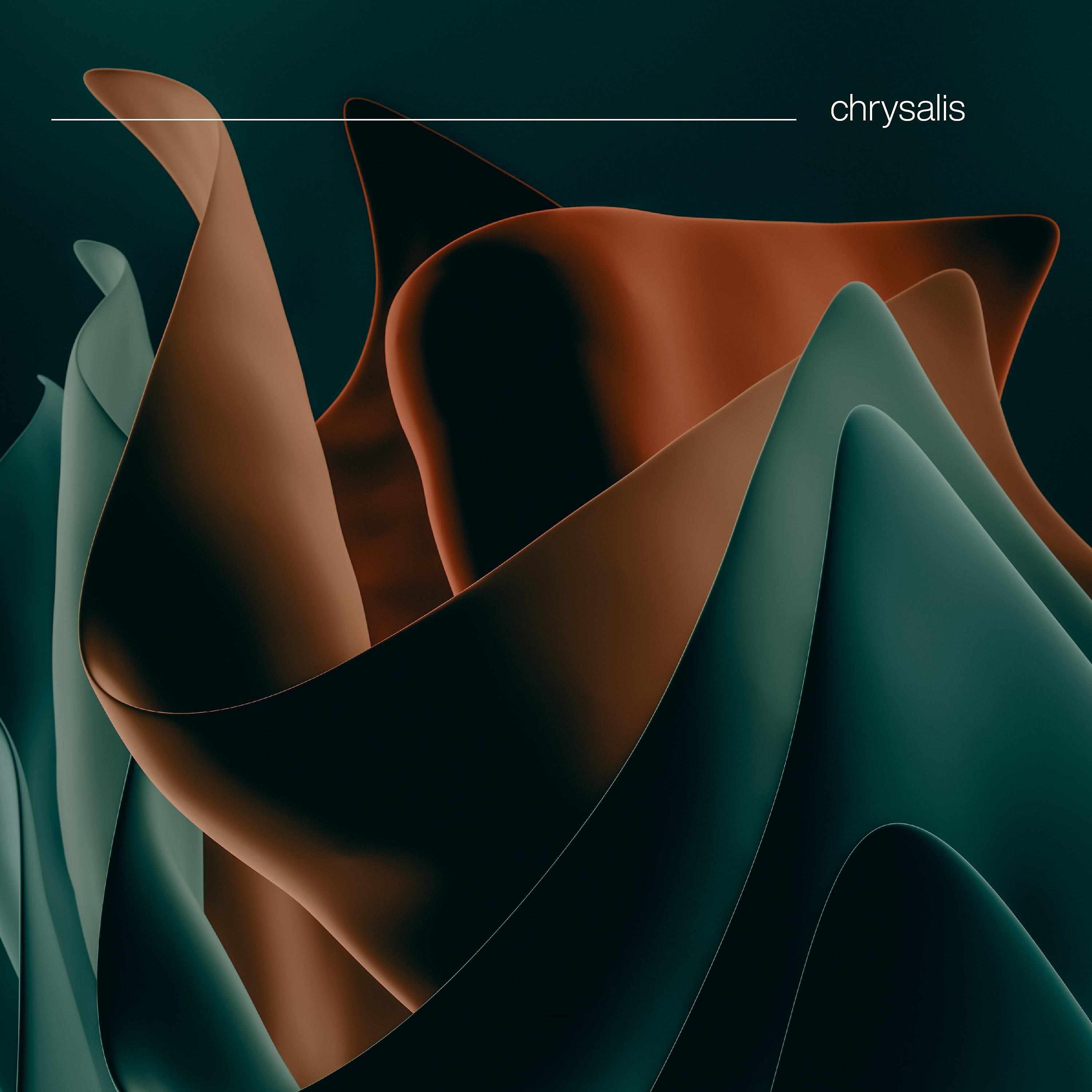 Постер альбома chrysalis