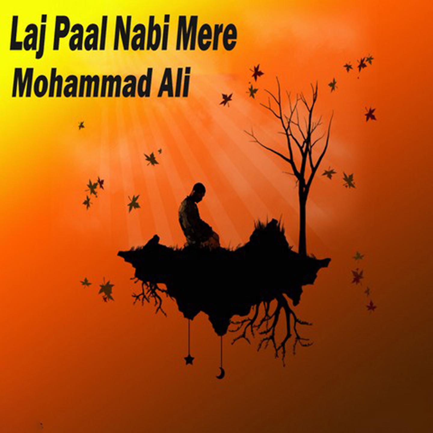 Постер альбома Laj Paal Nabi Mere