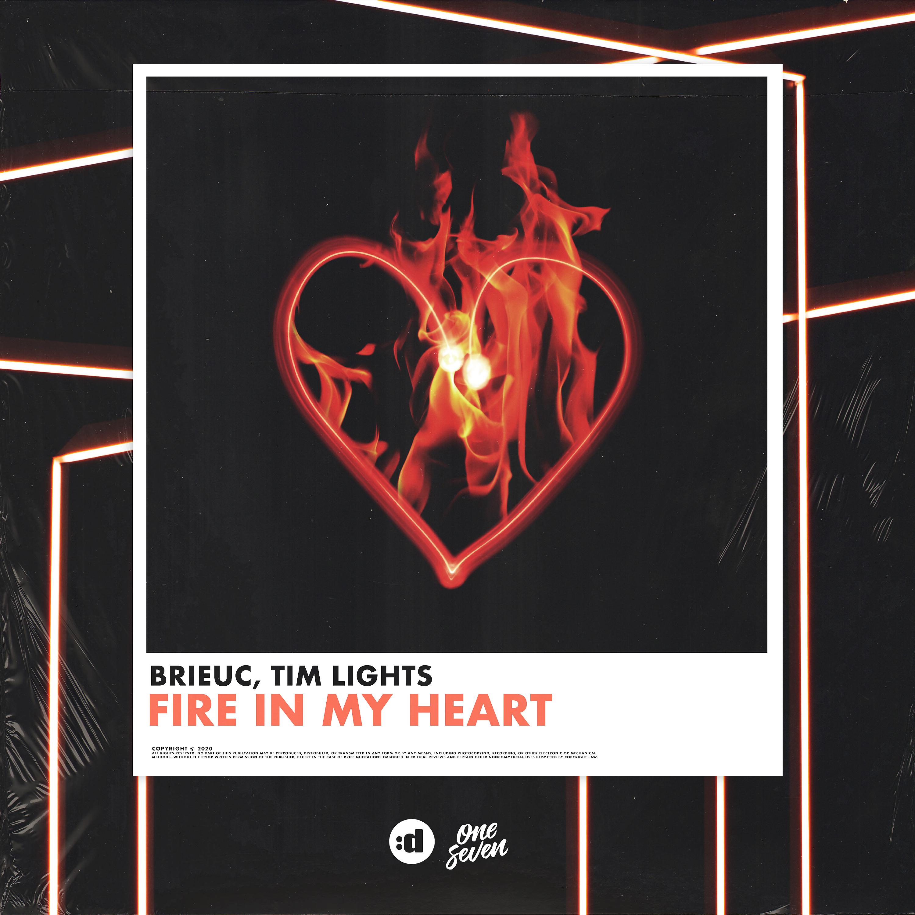 Постер альбома Fire in My Heart
