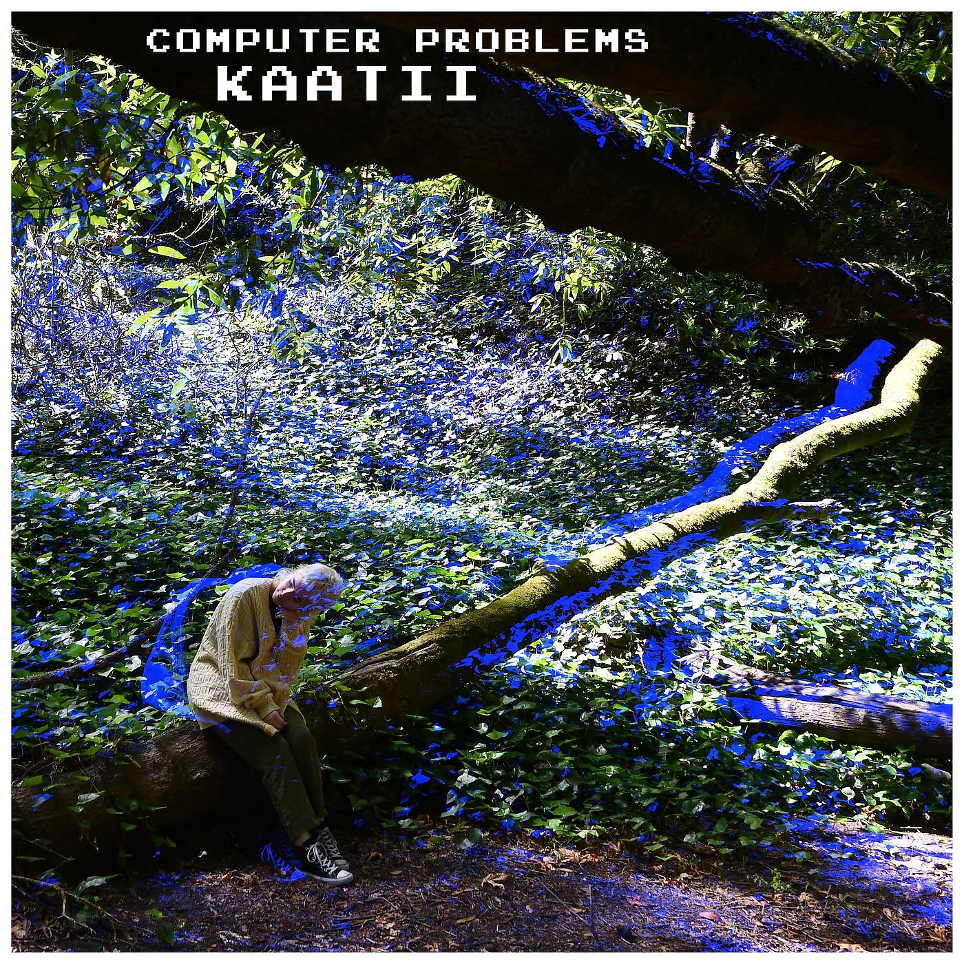Постер альбома Computer Problems