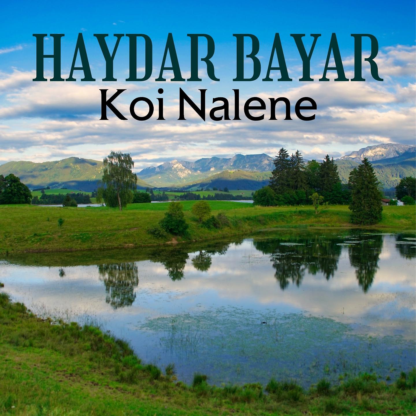 Постер альбома Koi Nalene